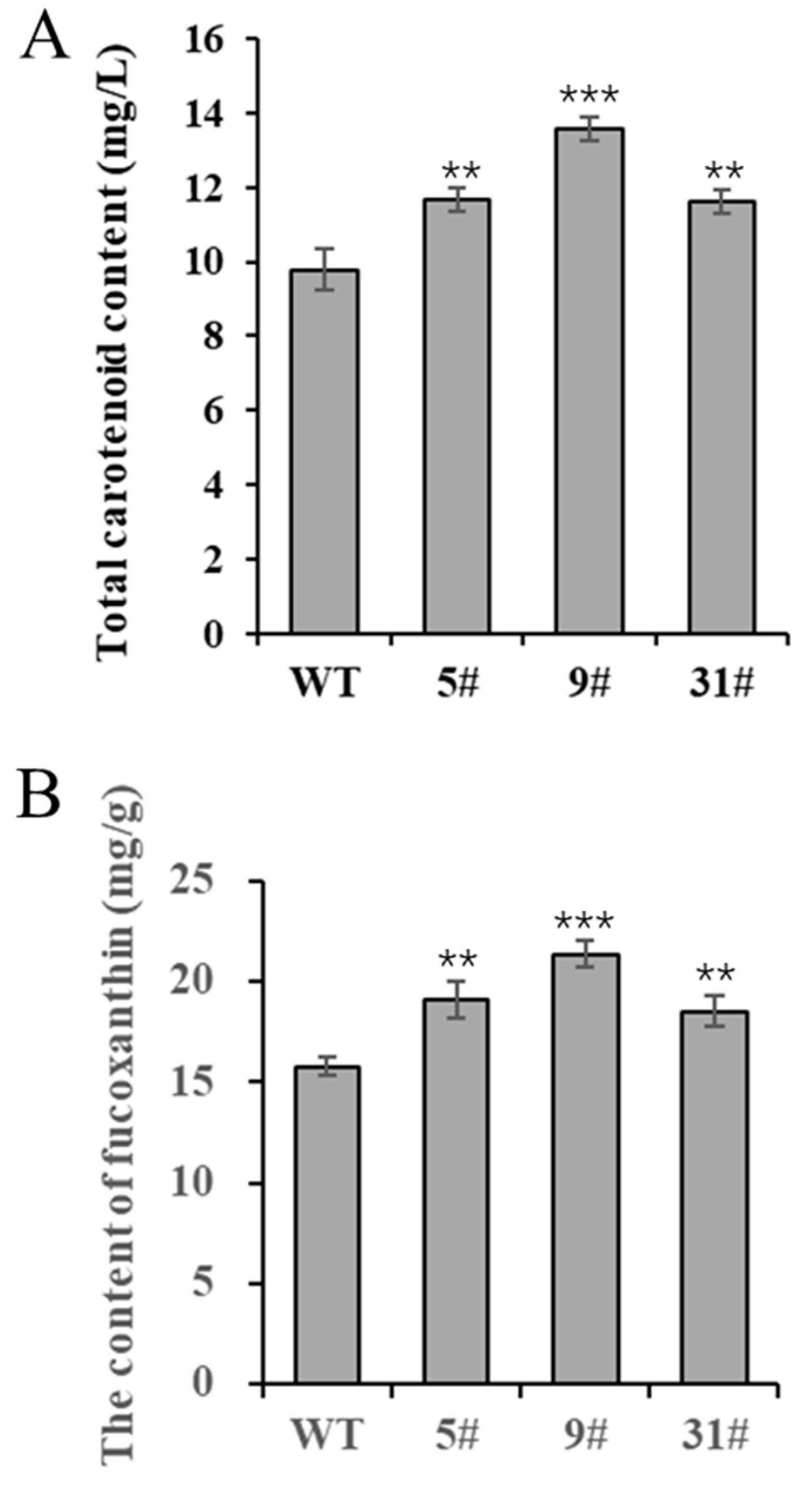 Biology 14 00414 g004