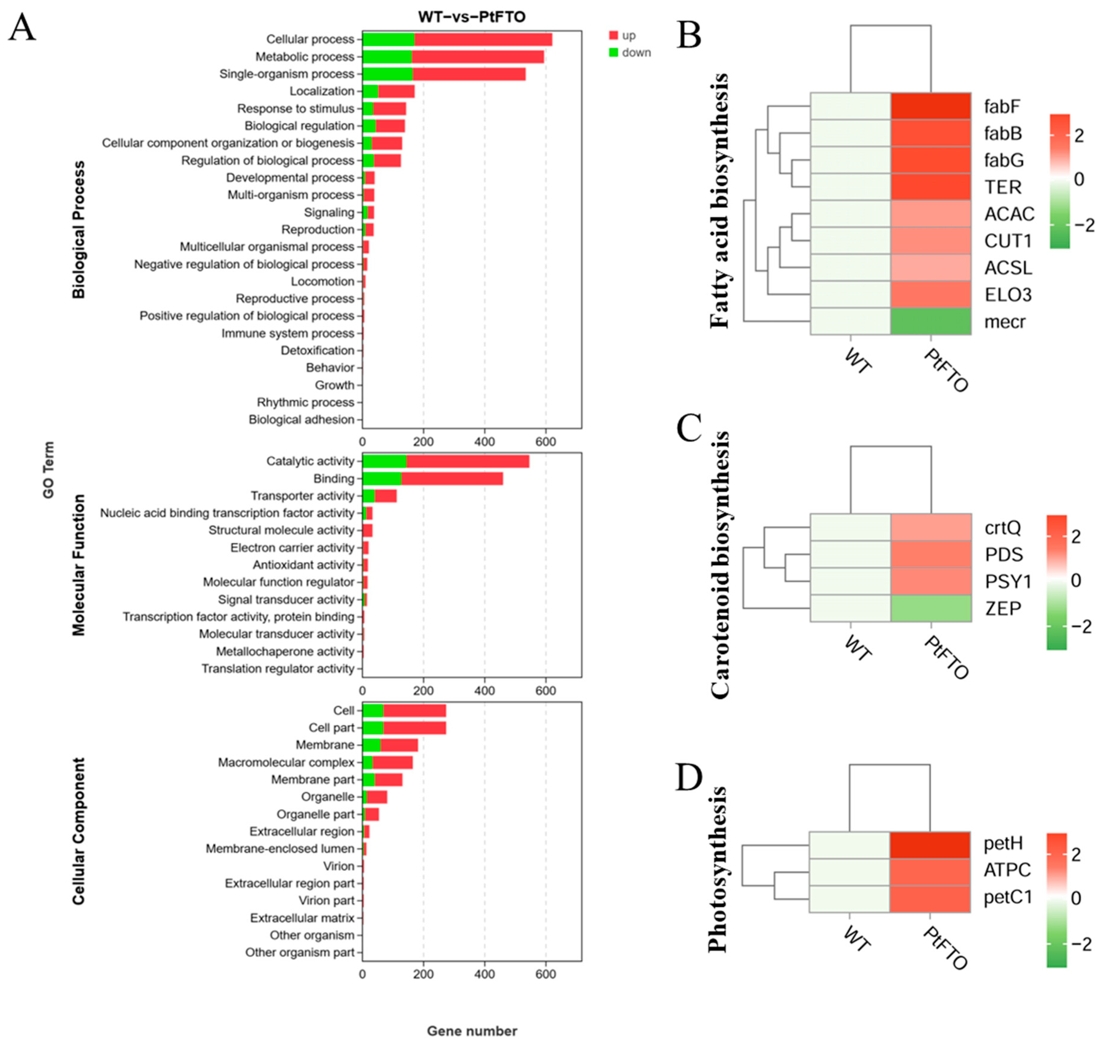 Biology 14 00414 g006