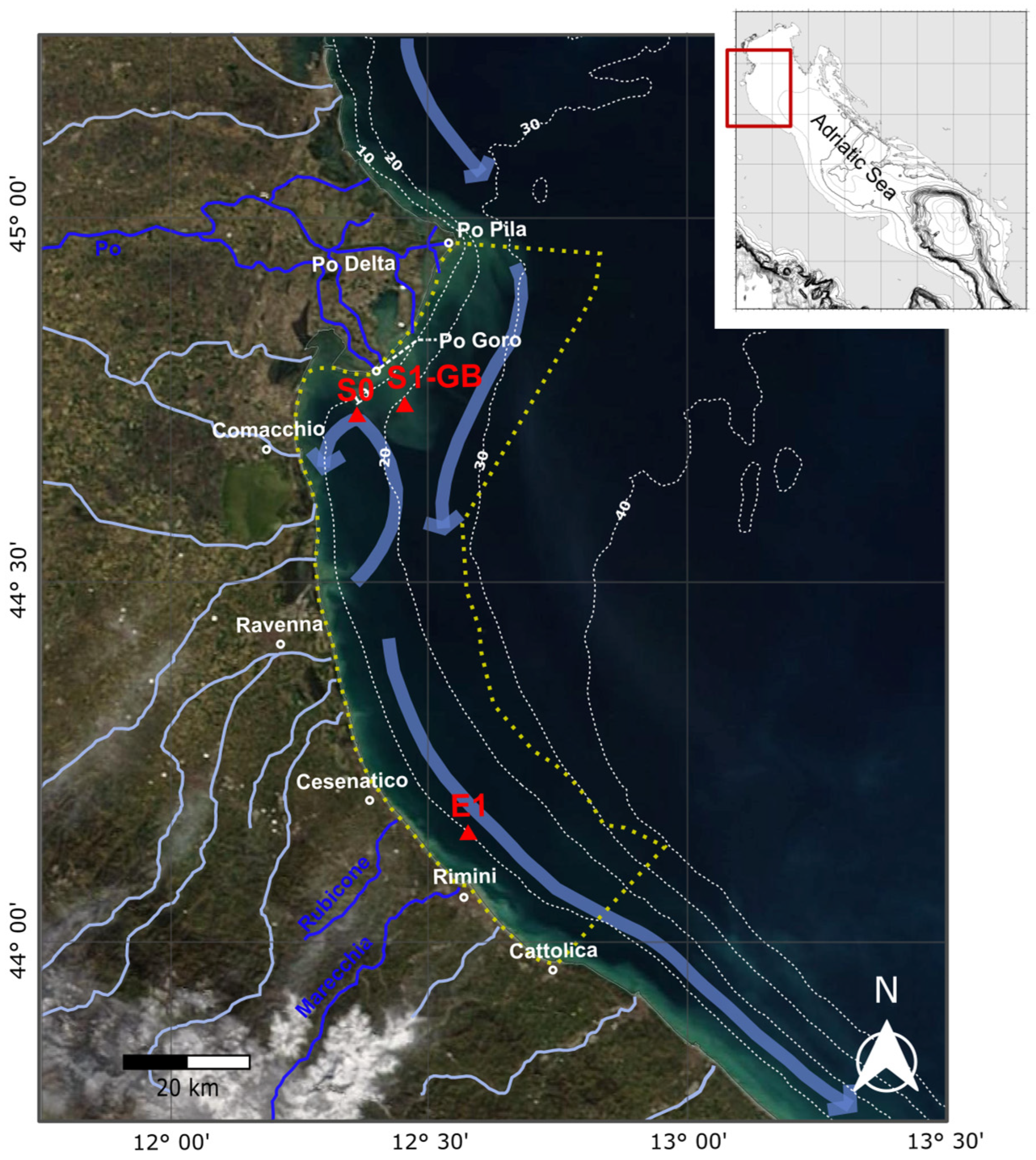 Biology 14 00421 g001