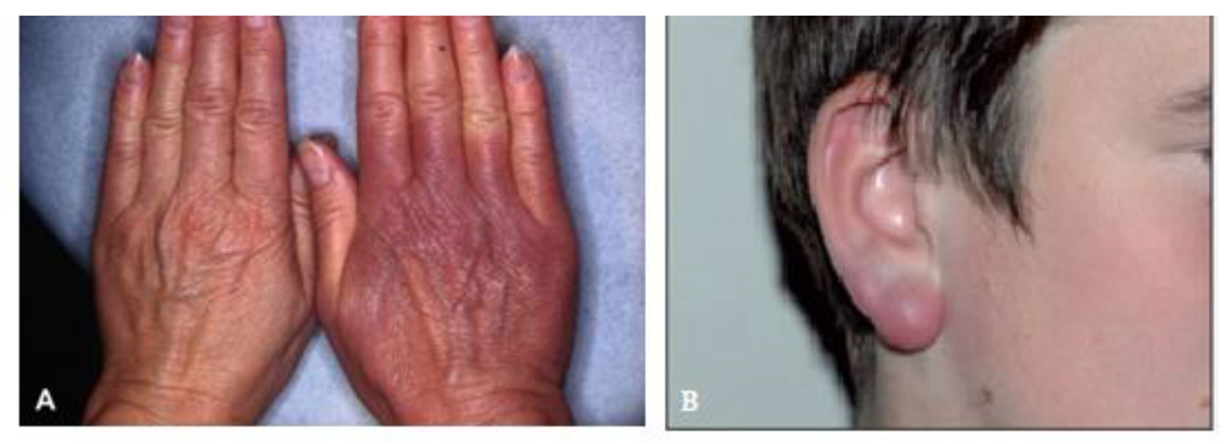 Biology 14 00427 g002 Biology 14 00427 g002