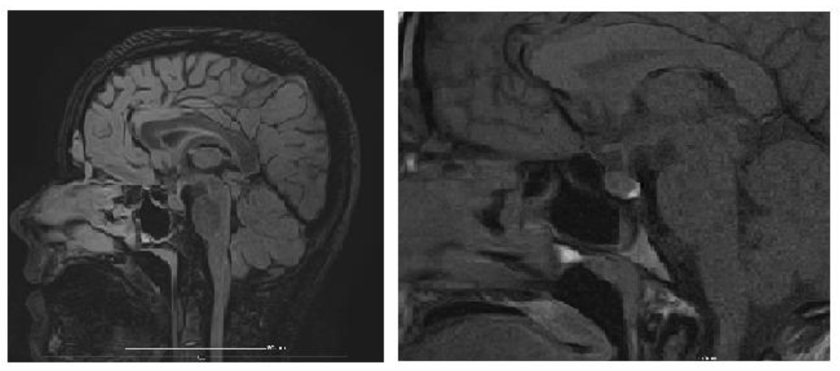 Biology 14 00427 g003 Biology 14 00427 g003