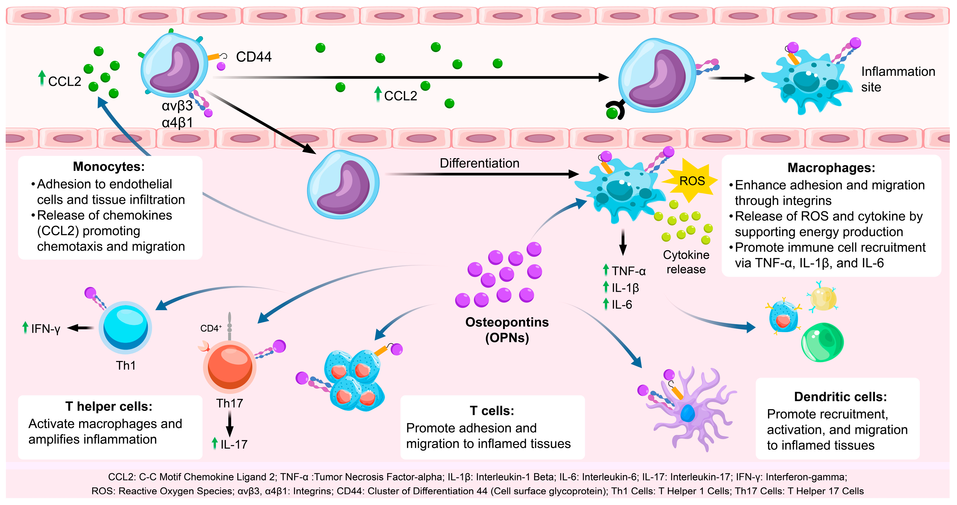 Biology 14 00428 g001
