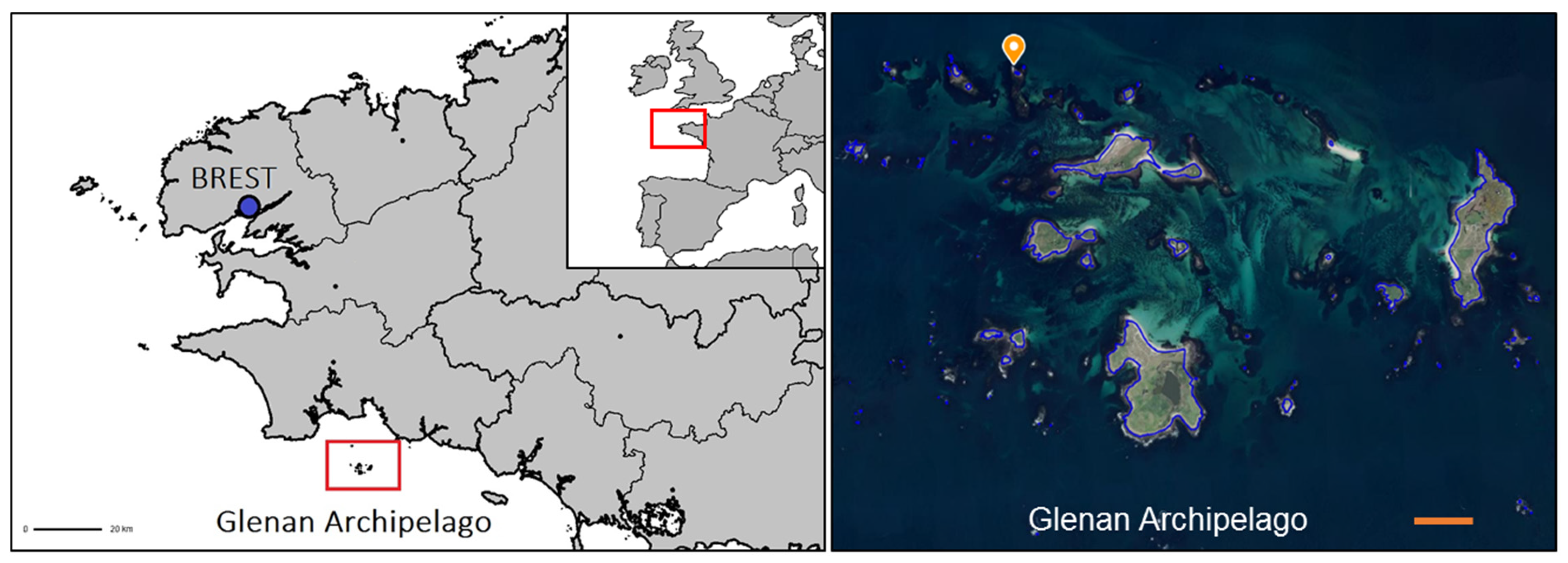 Biology 14 00430 g001