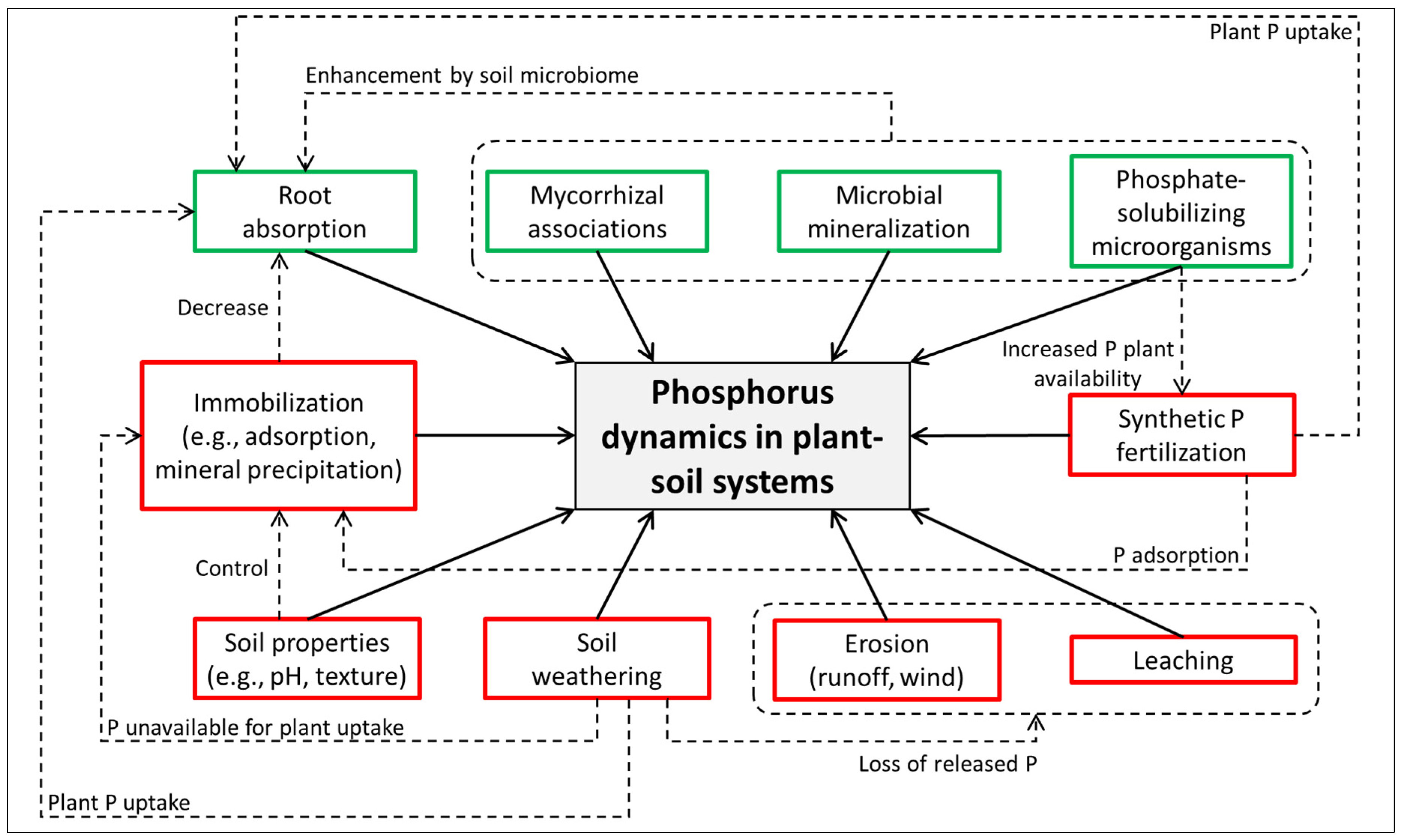 Biology 14 00433 g002