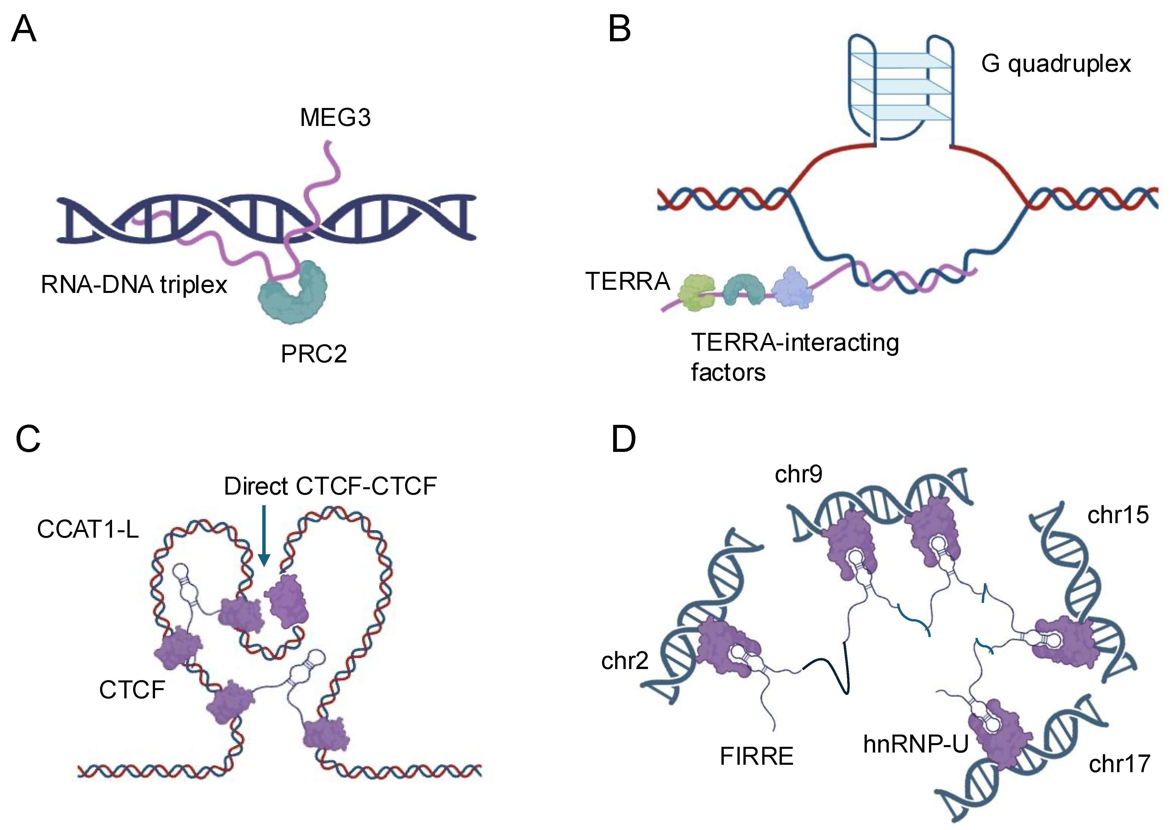 Biology 14 00442 g001