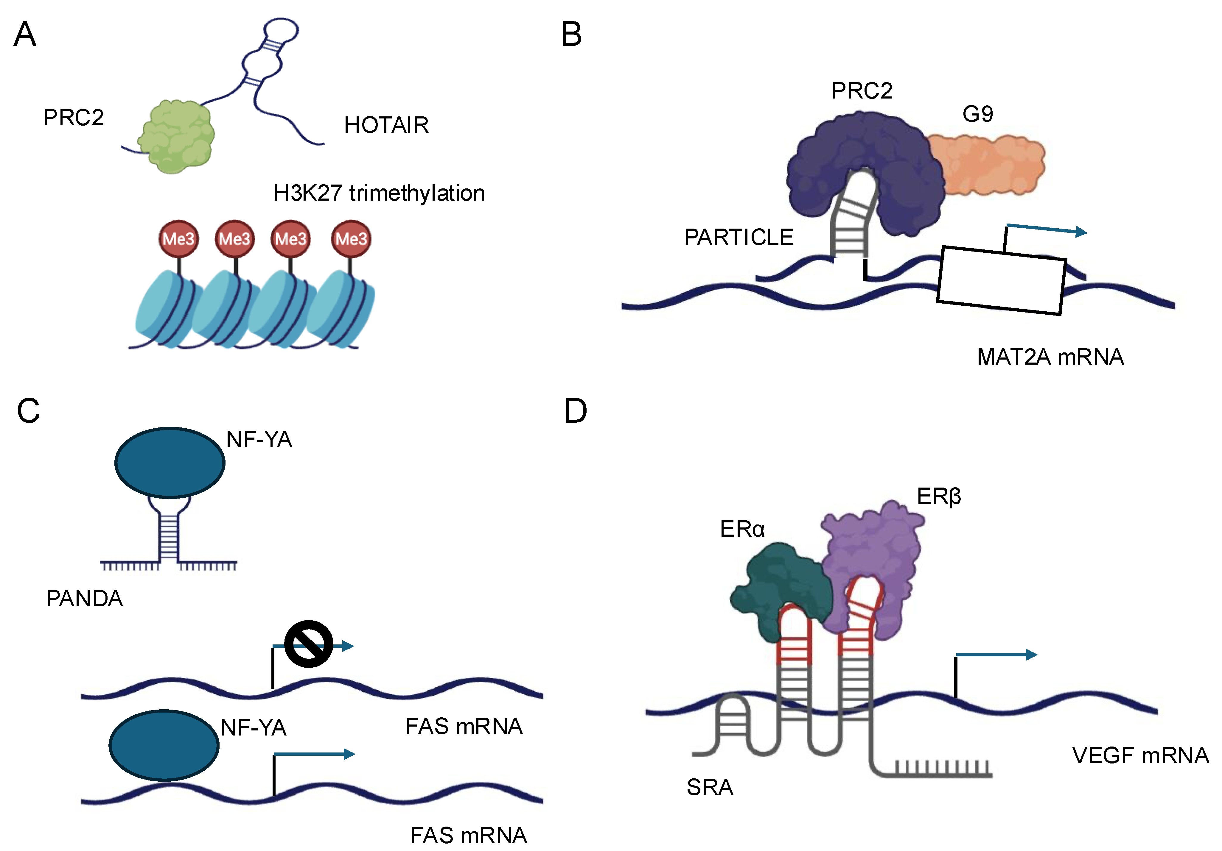 Biology 14 00442 g003