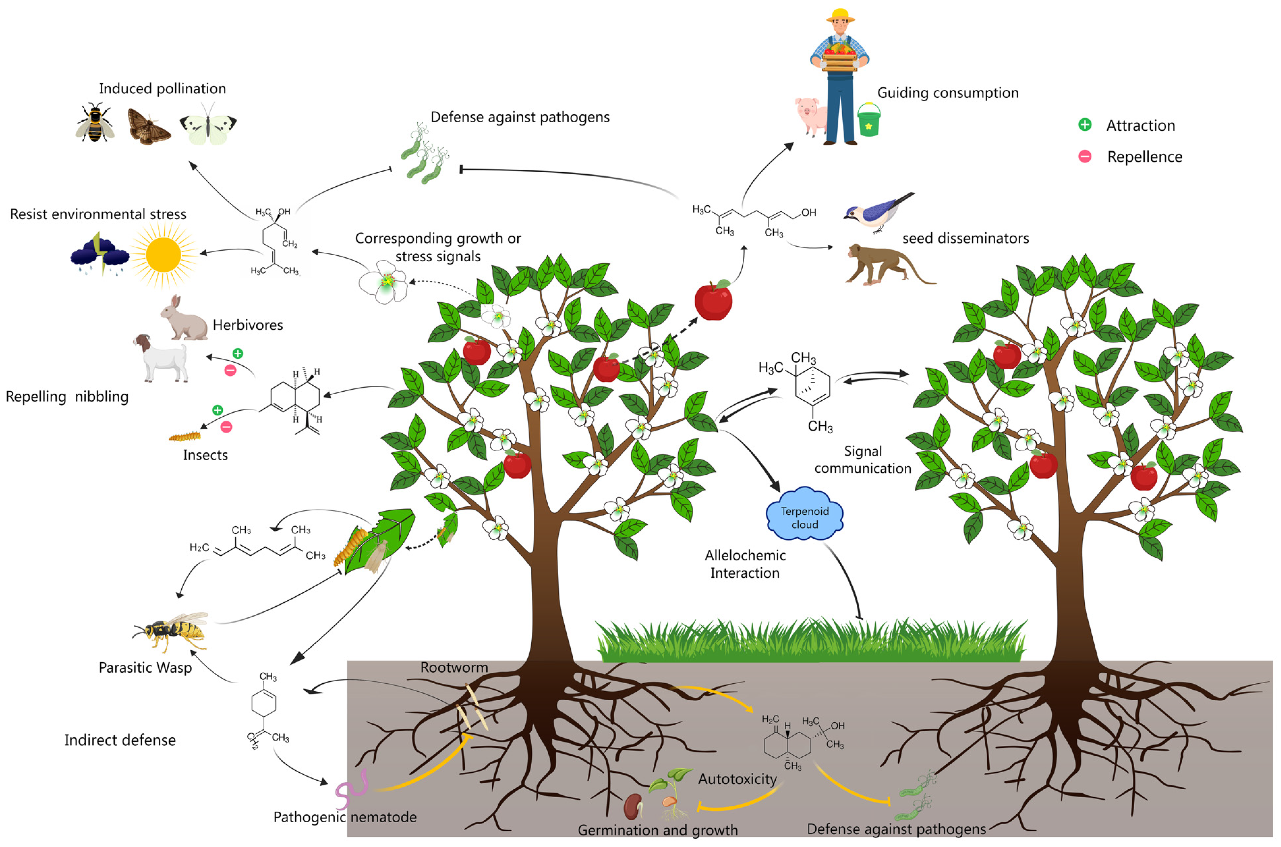 Biology 14 00466 g001