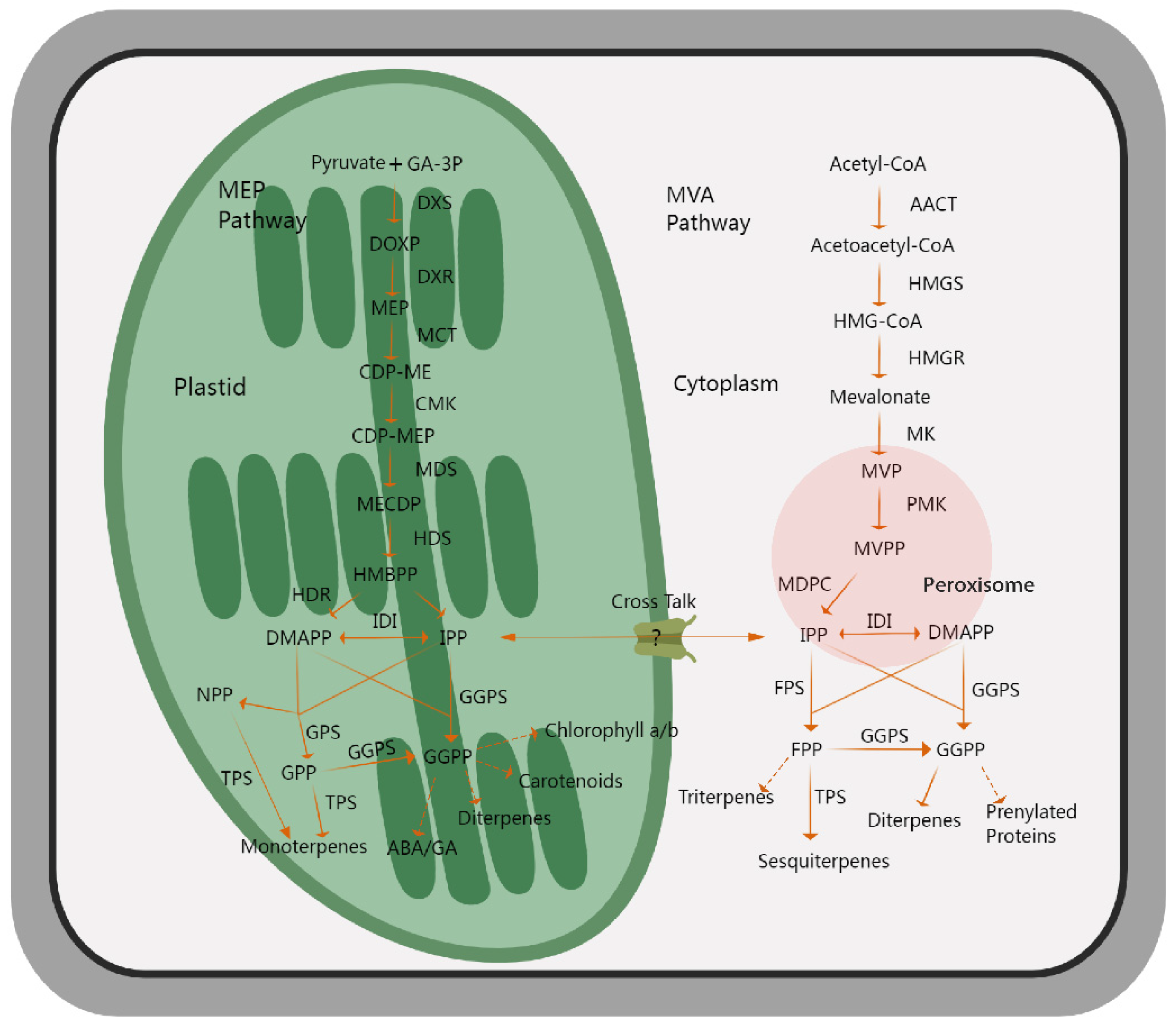 Biology 14 00466 g002