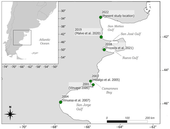 Biology 14 00480 g001