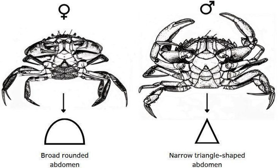 Biology 14 00480 g0a1