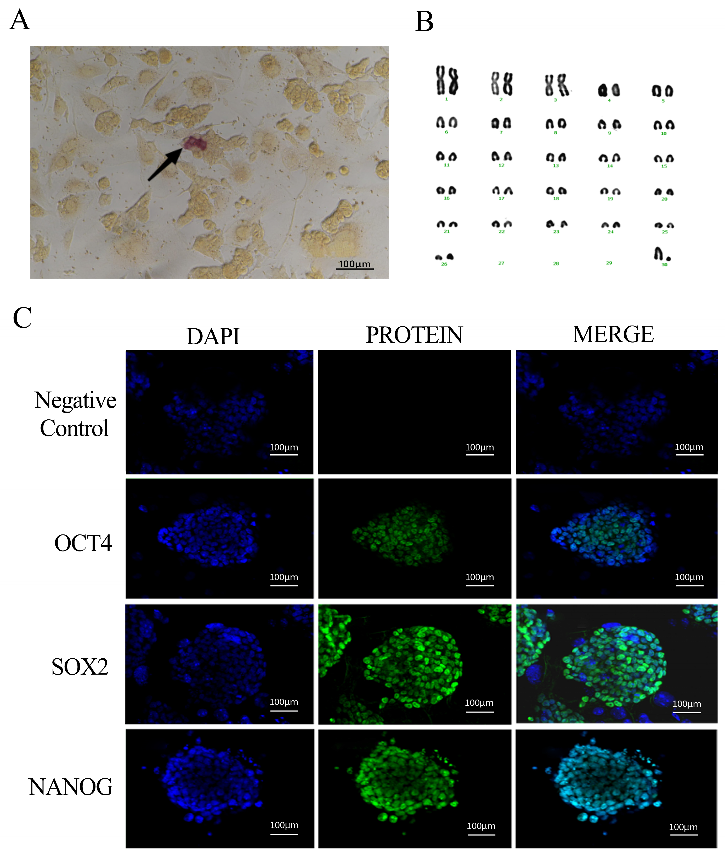 Biology 14 00484 g002