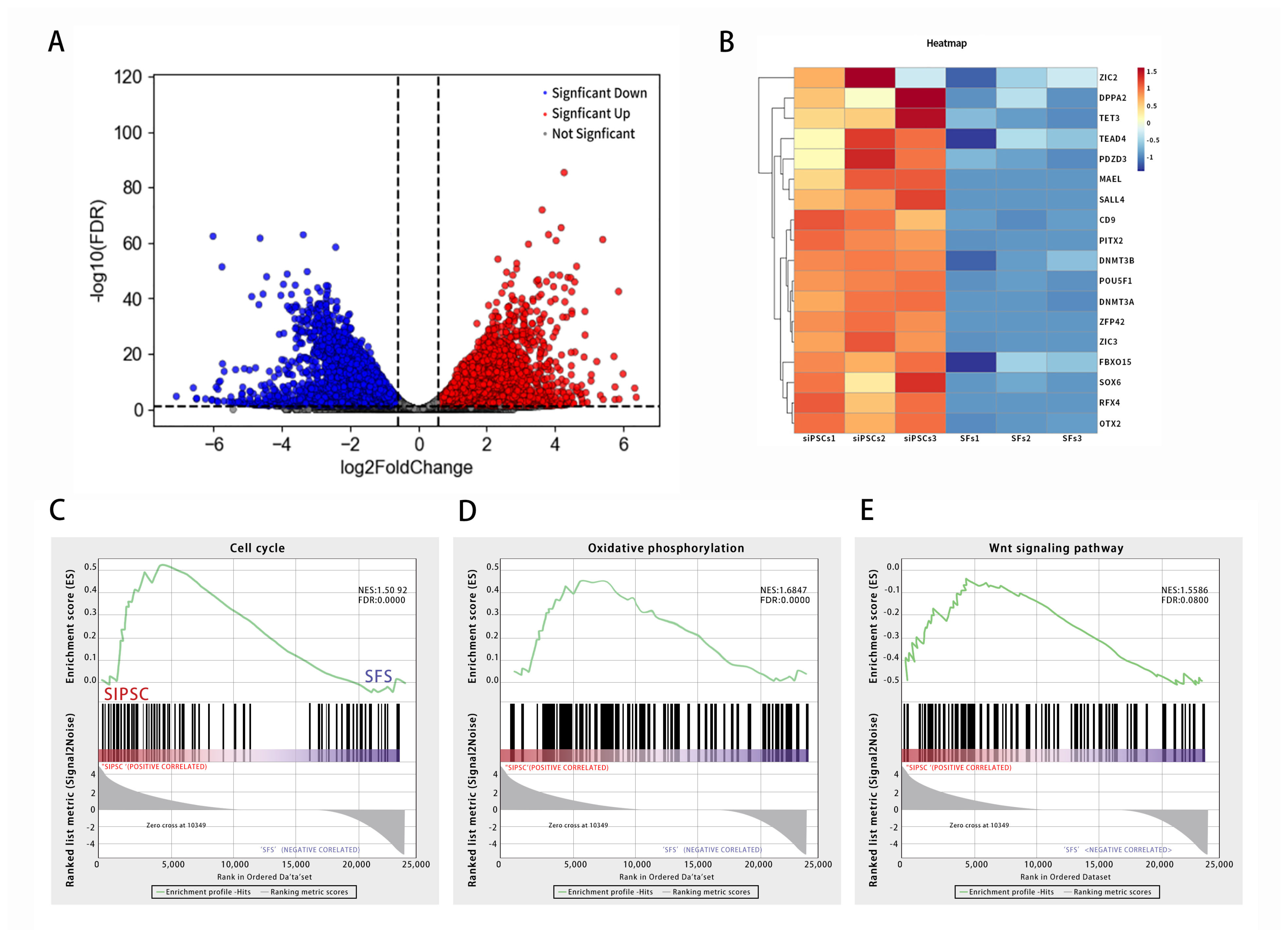 Biology 14 00484 g003