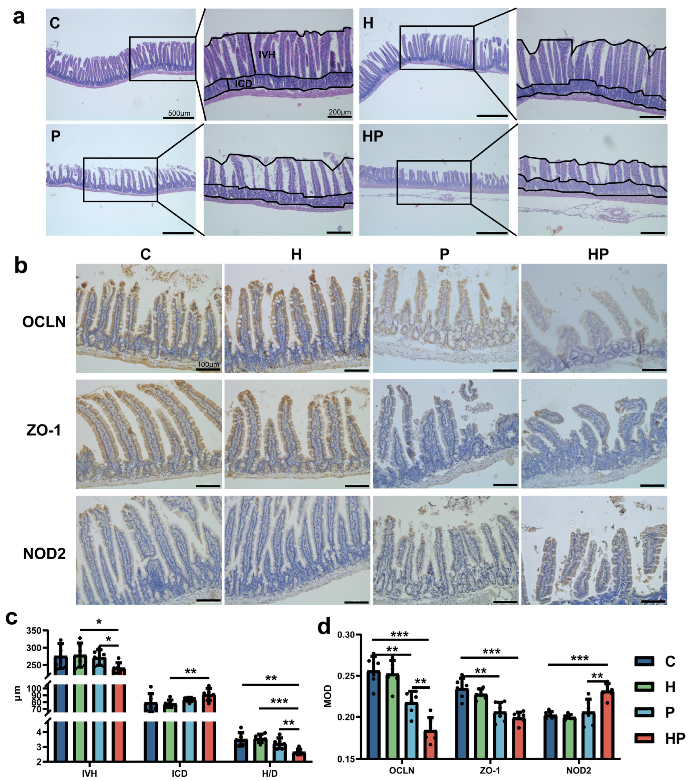 Biology 14 00496 g002