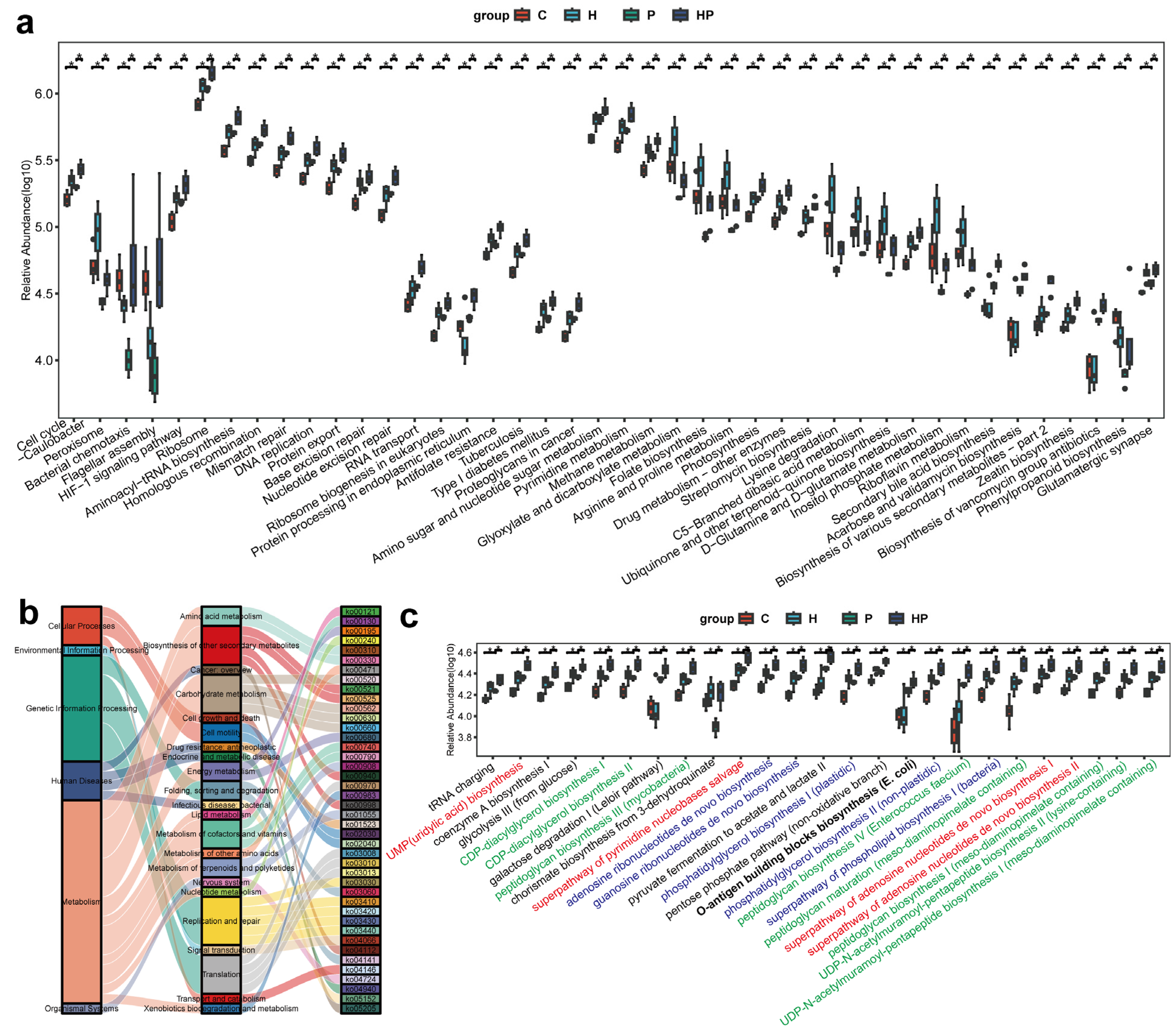 Biology 14 00496 g006