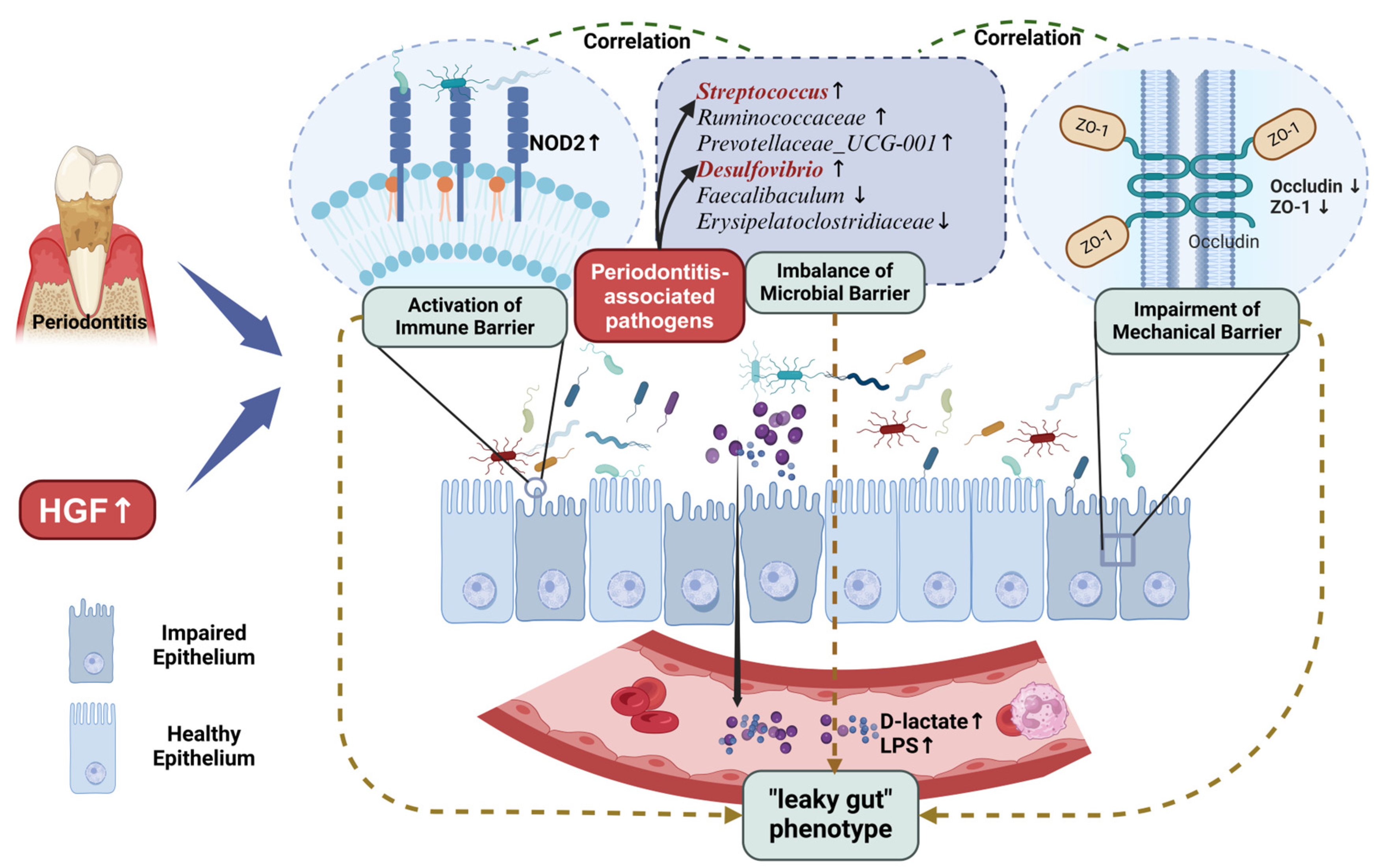 Biology 14 00496 g008