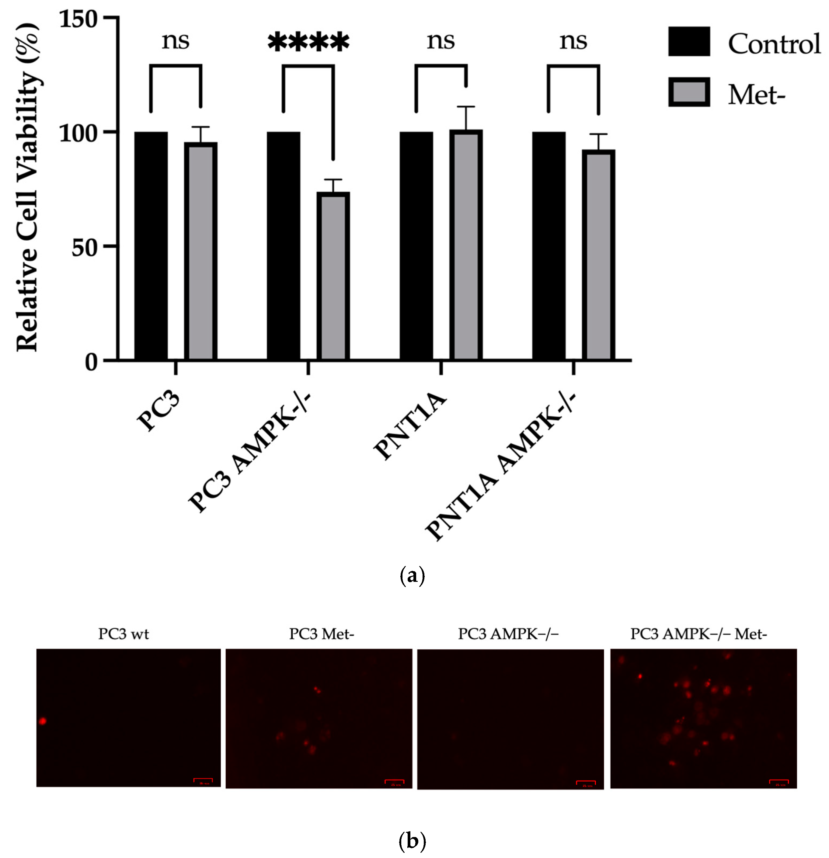 Biology 14 00507 g002