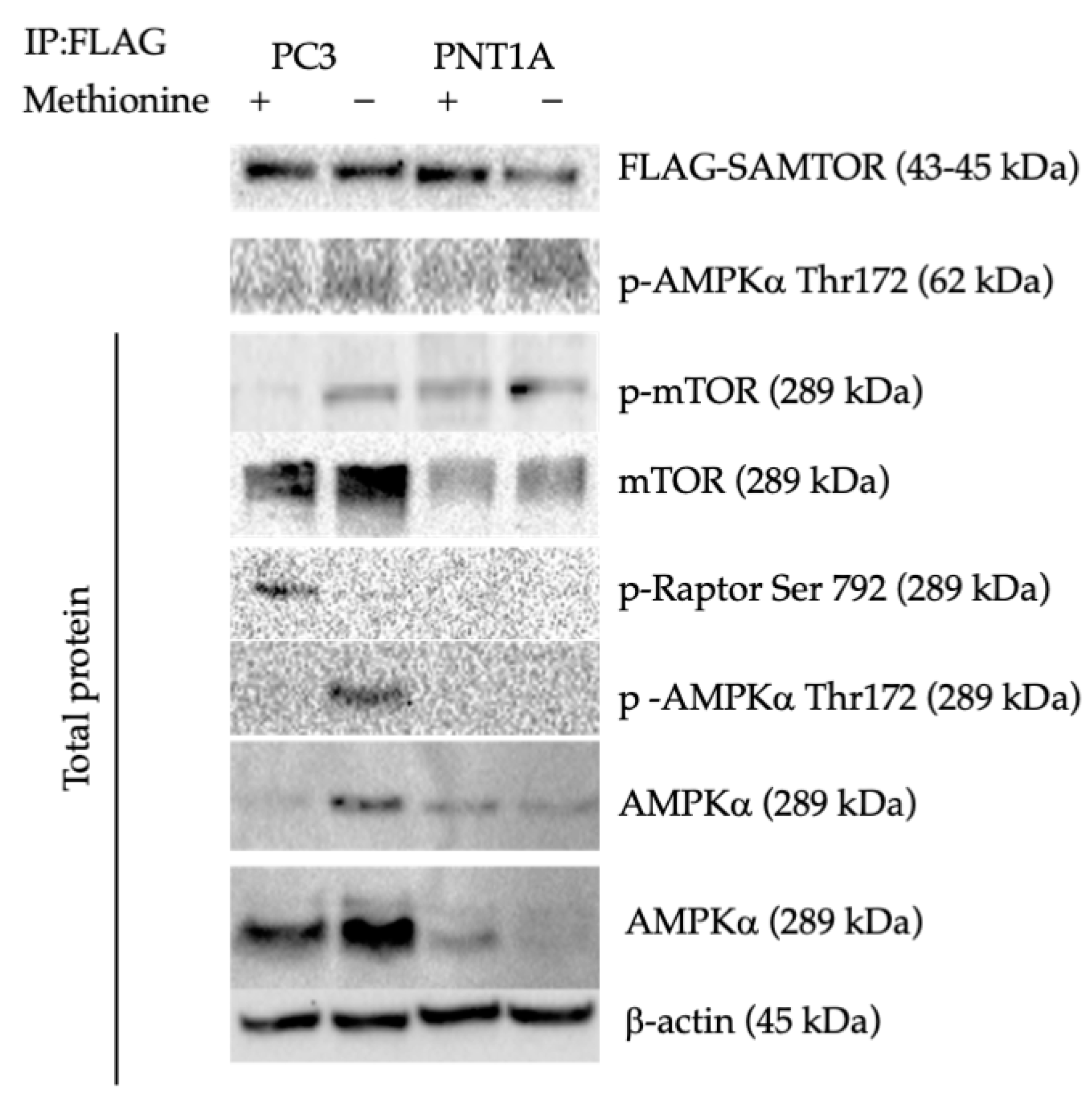 Biology 14 00507 g009