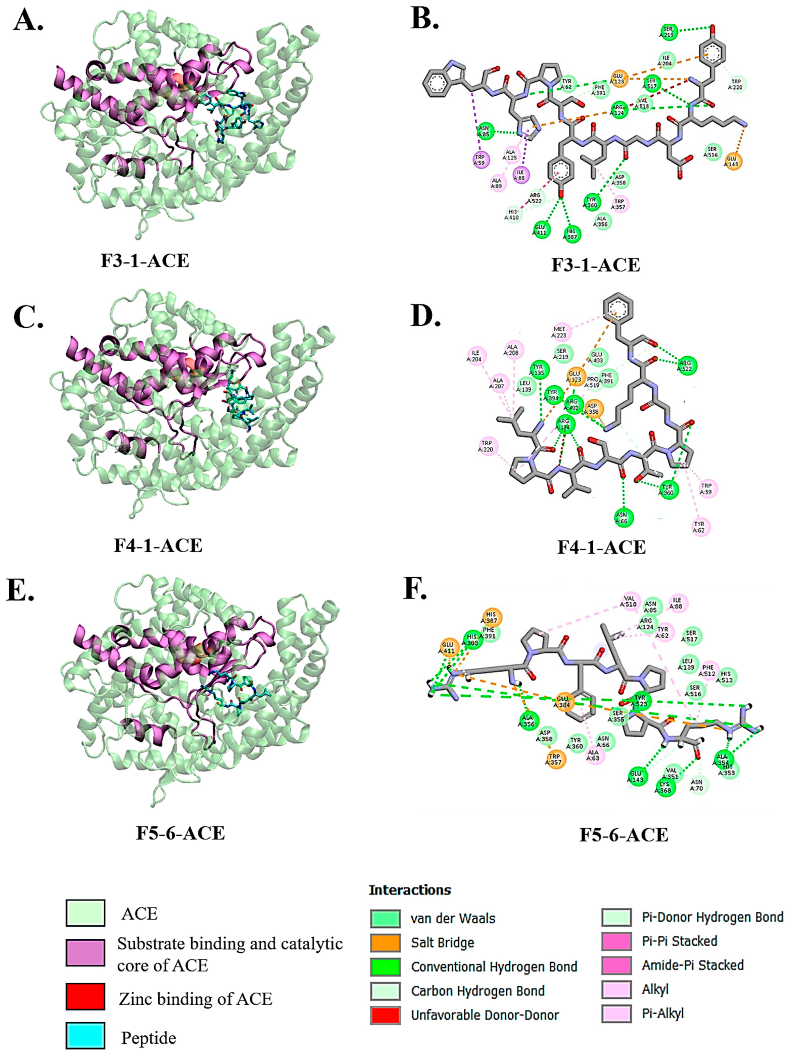 Biology 14 00511 g002