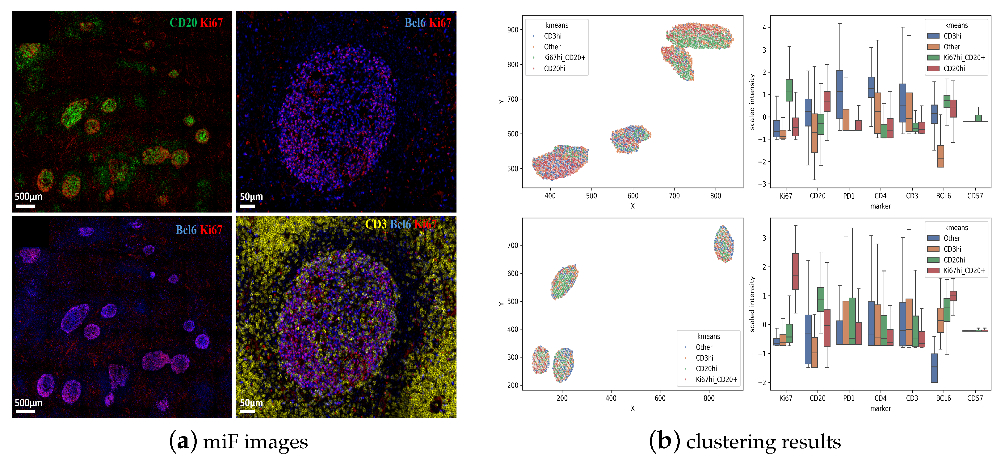 Biology 14 00530 g009