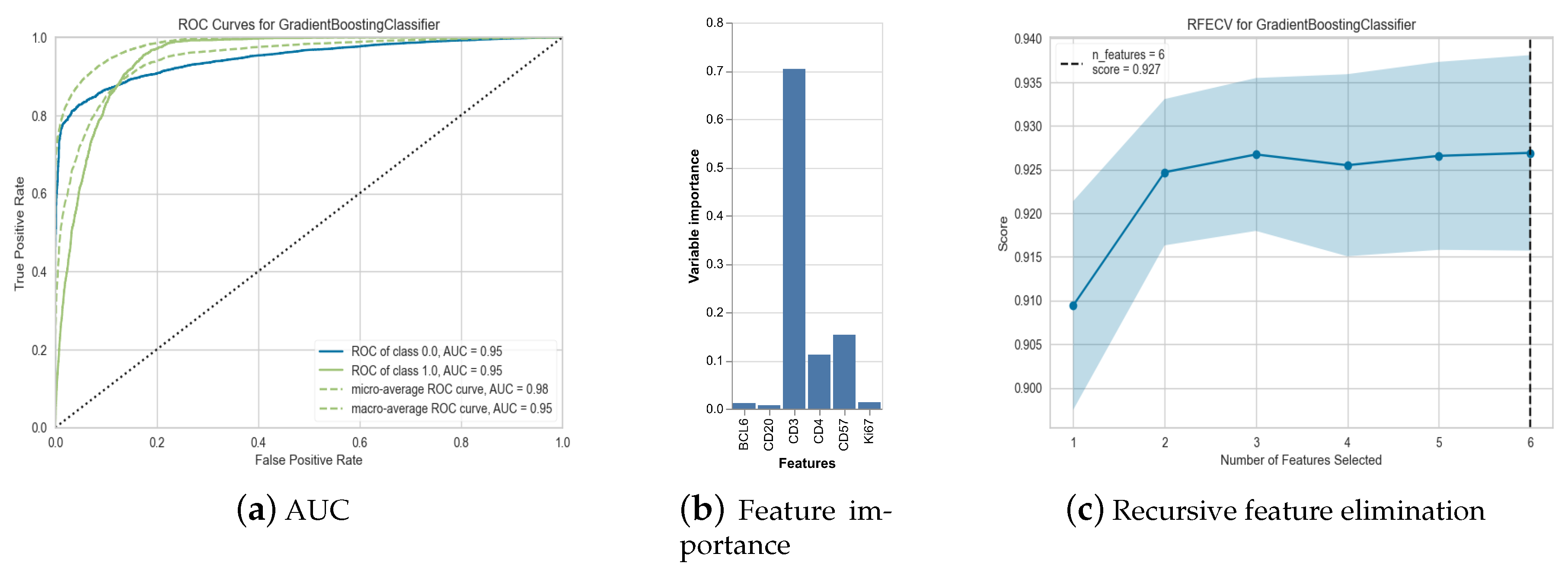 Biology 14 00530 g010