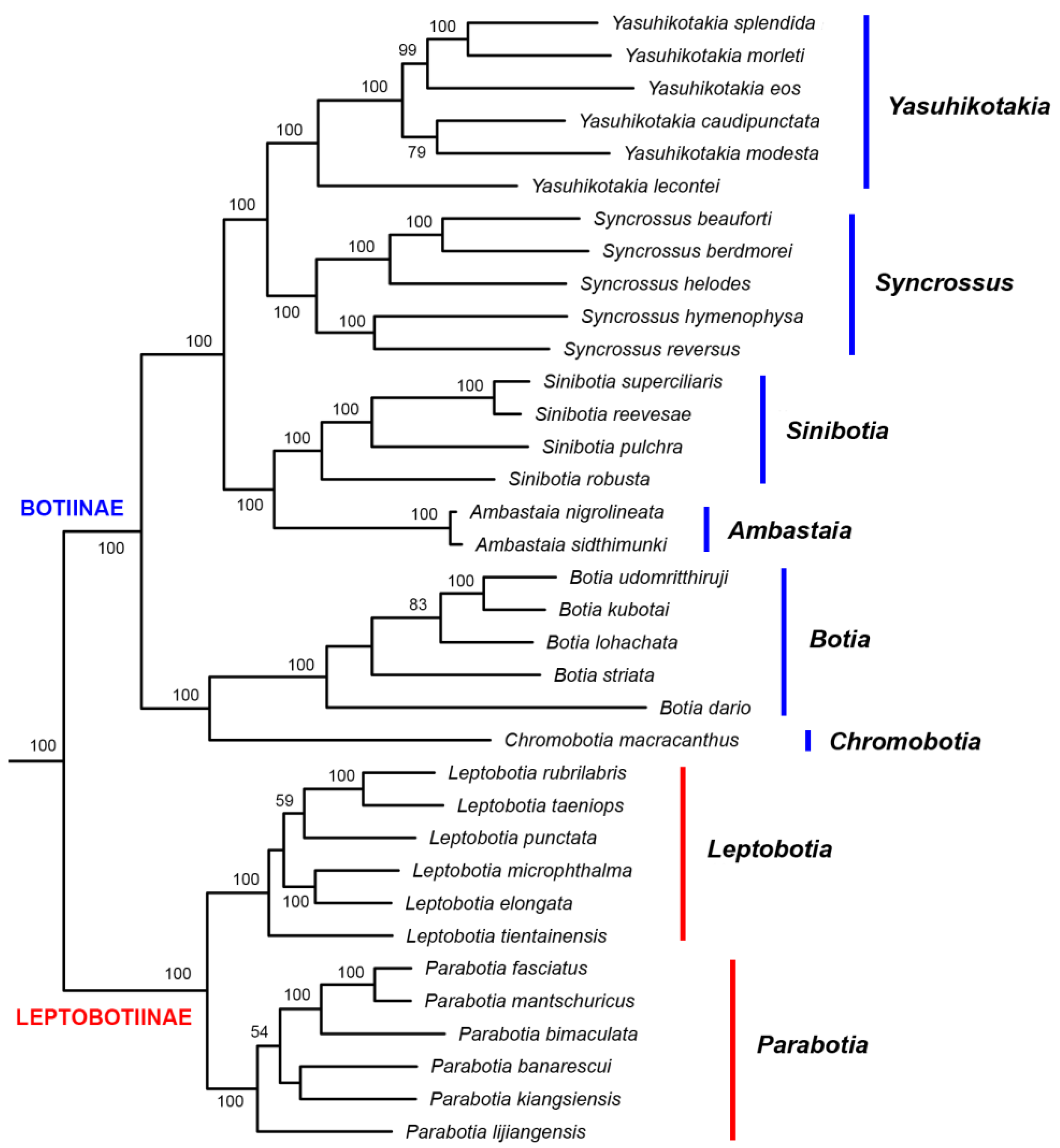 Biology 14 00531 g001