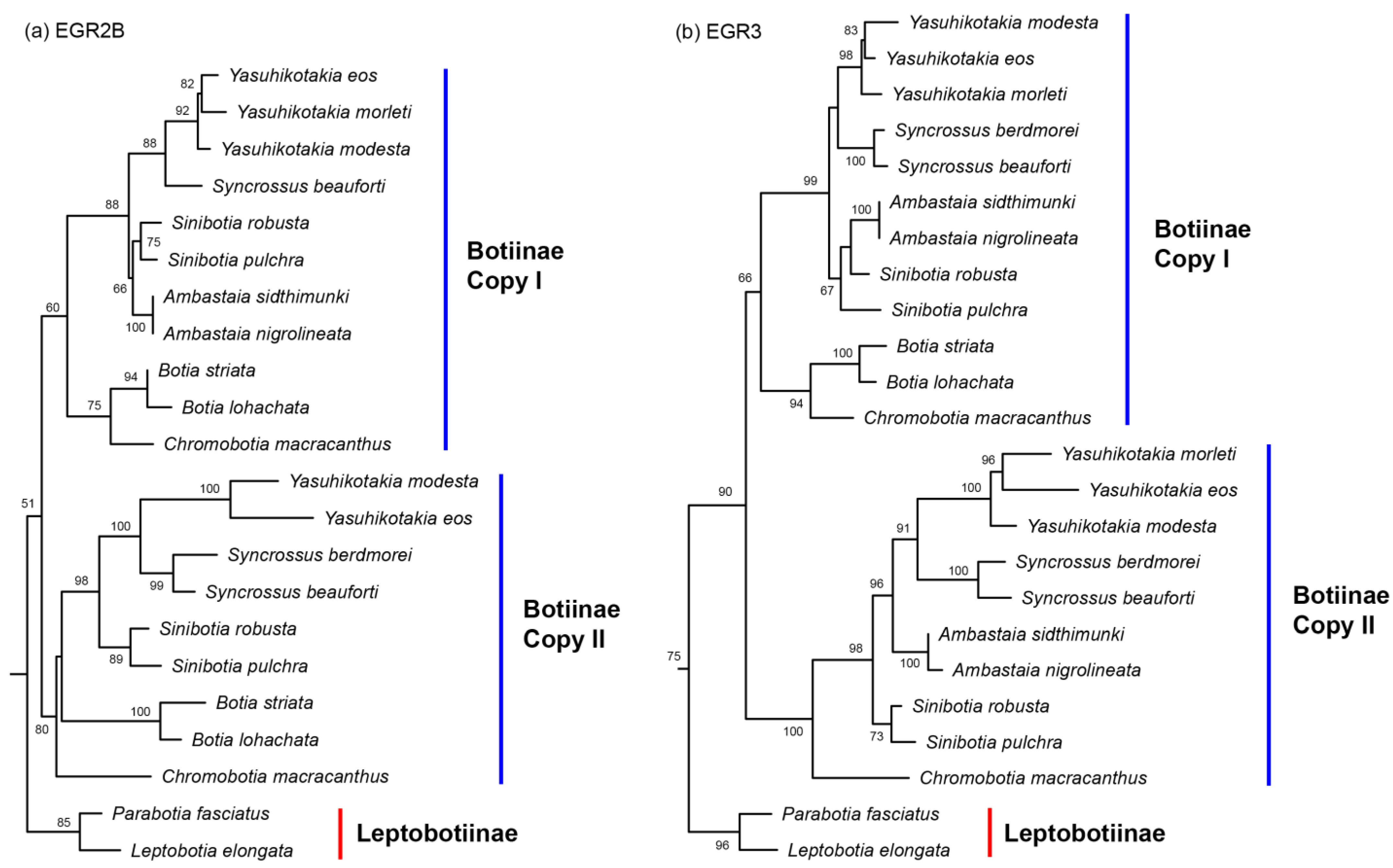 Biology 14 00531 g002