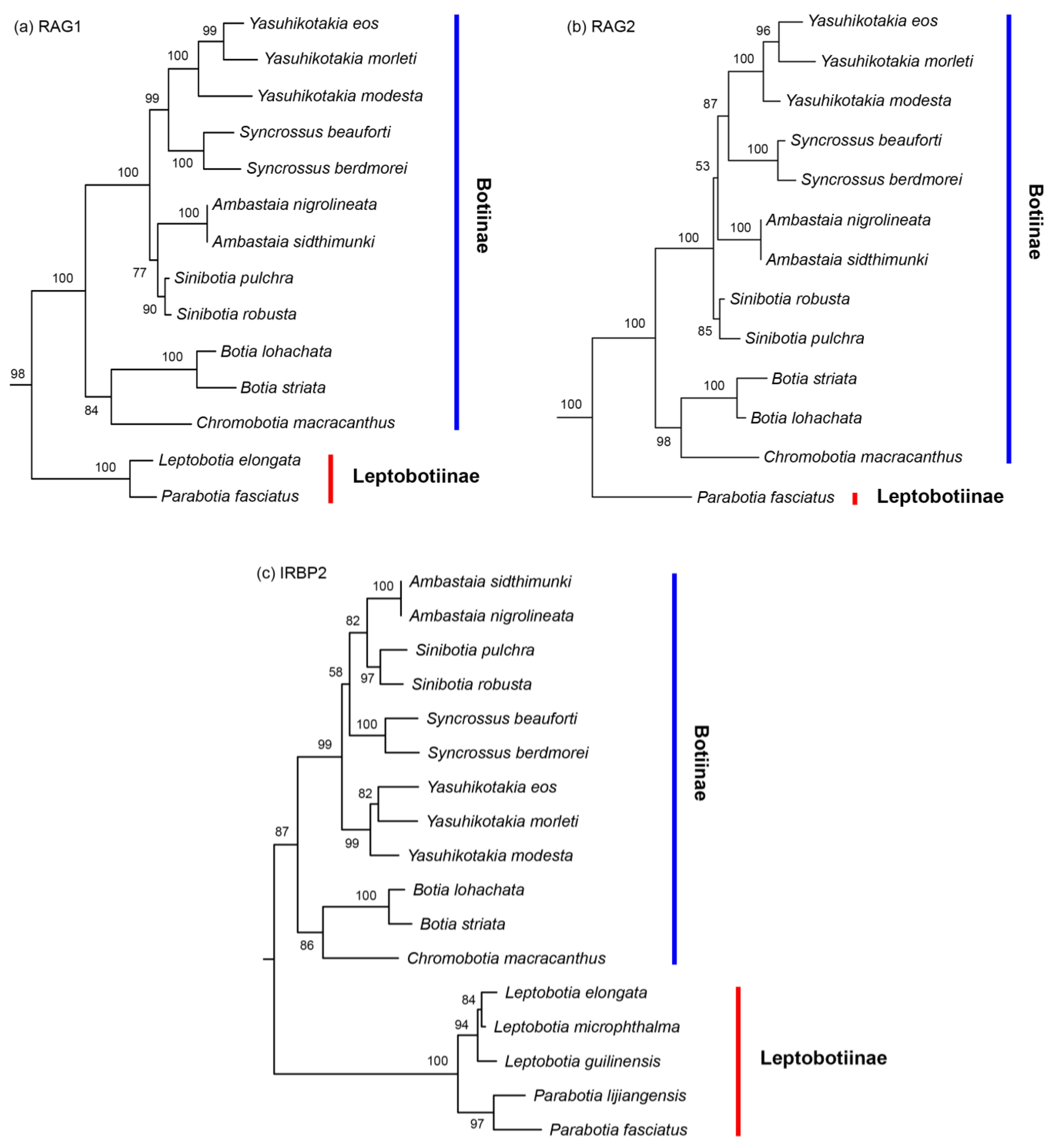 Biology 14 00531 g003