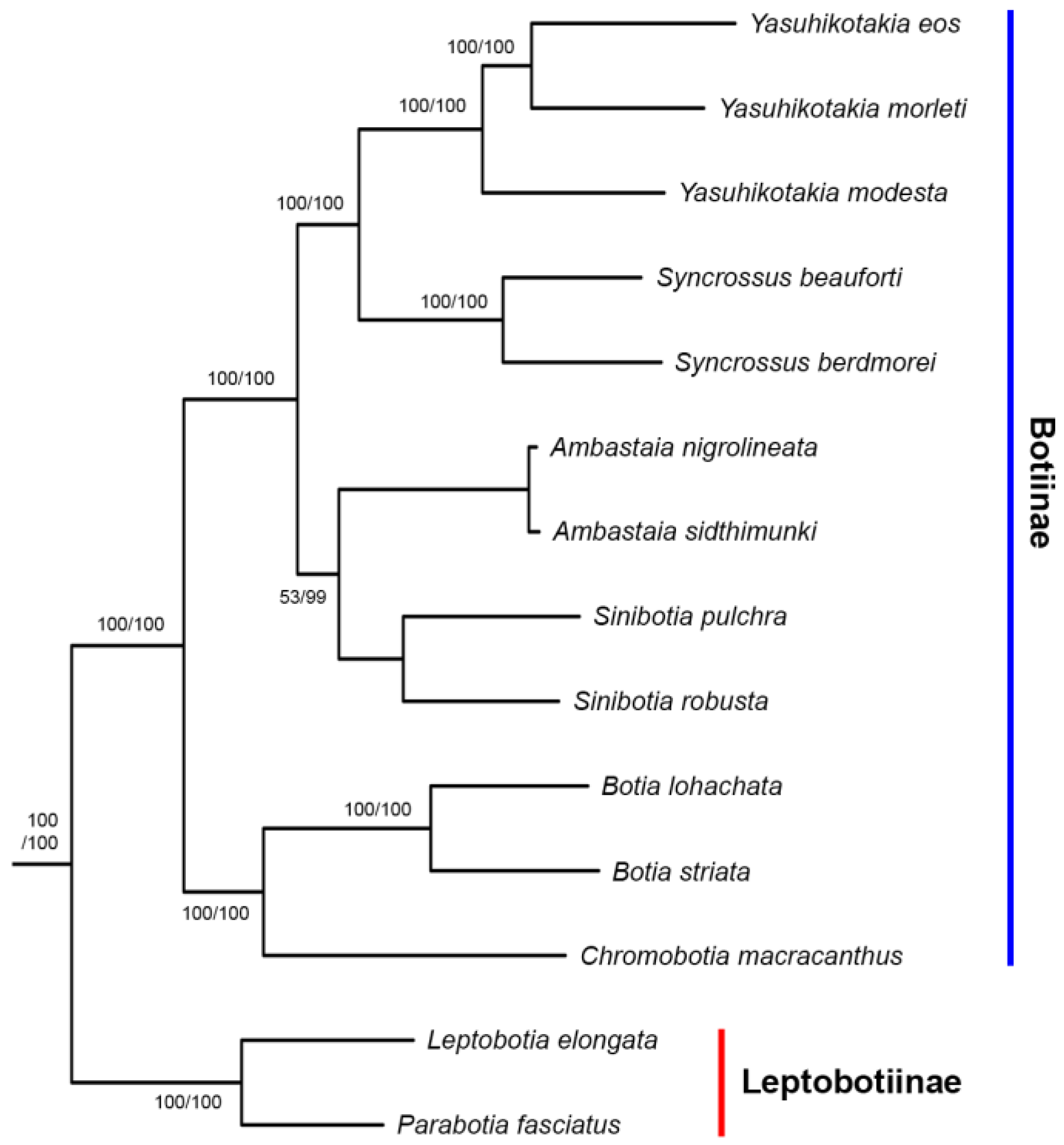 Biology 14 00531 g004