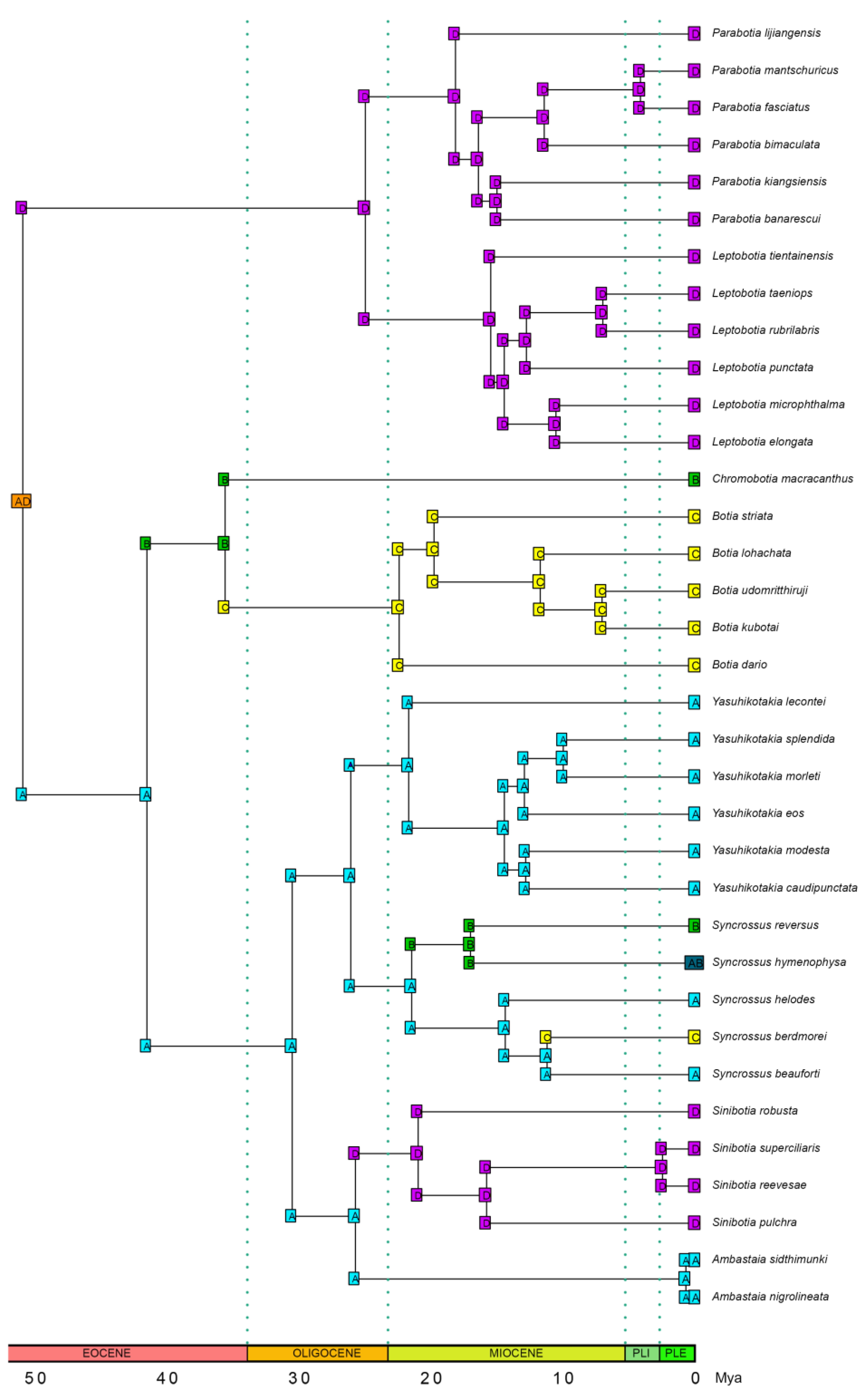 Biology 14 00531 g006