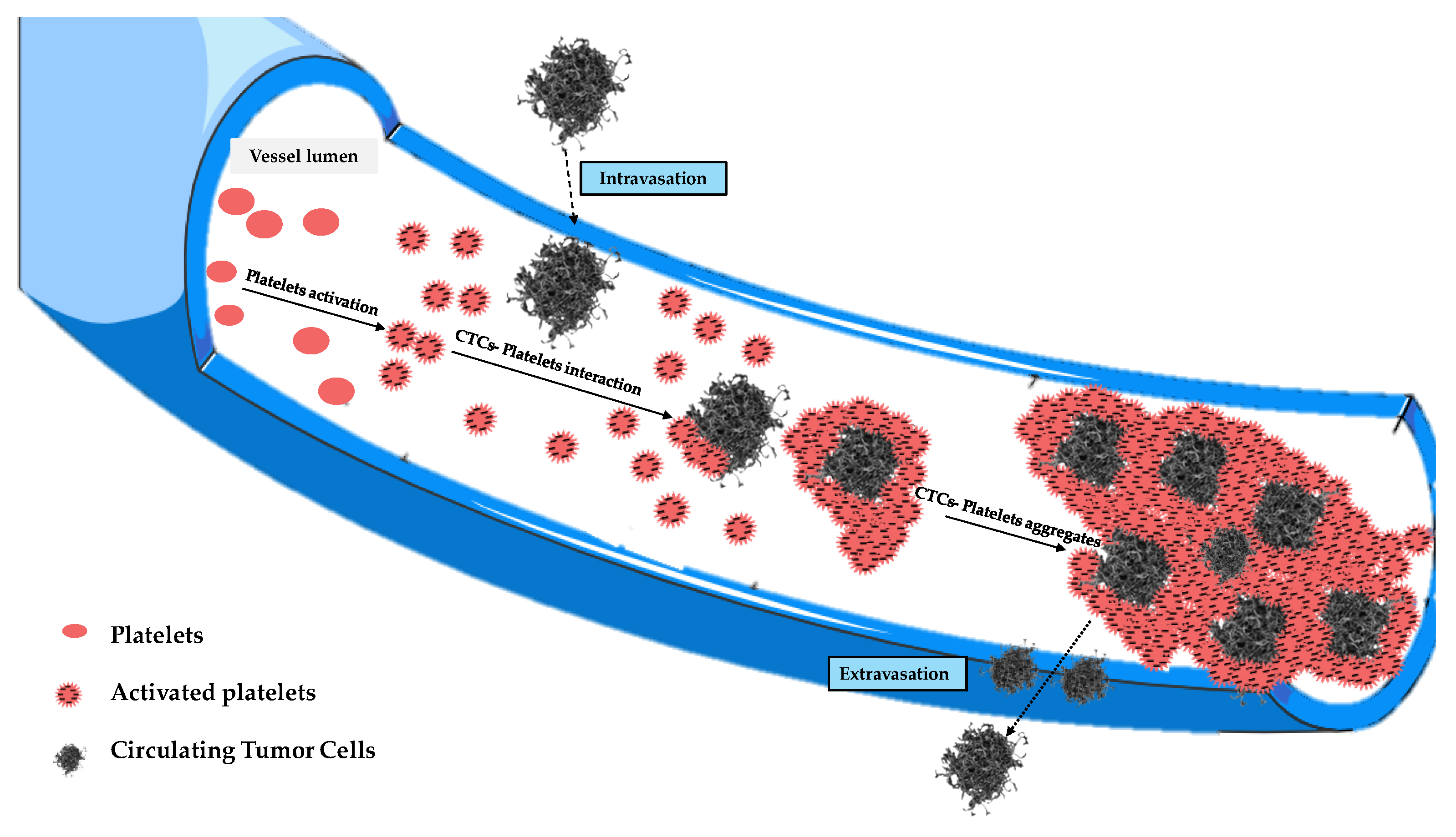 Biology 14 00542 g005