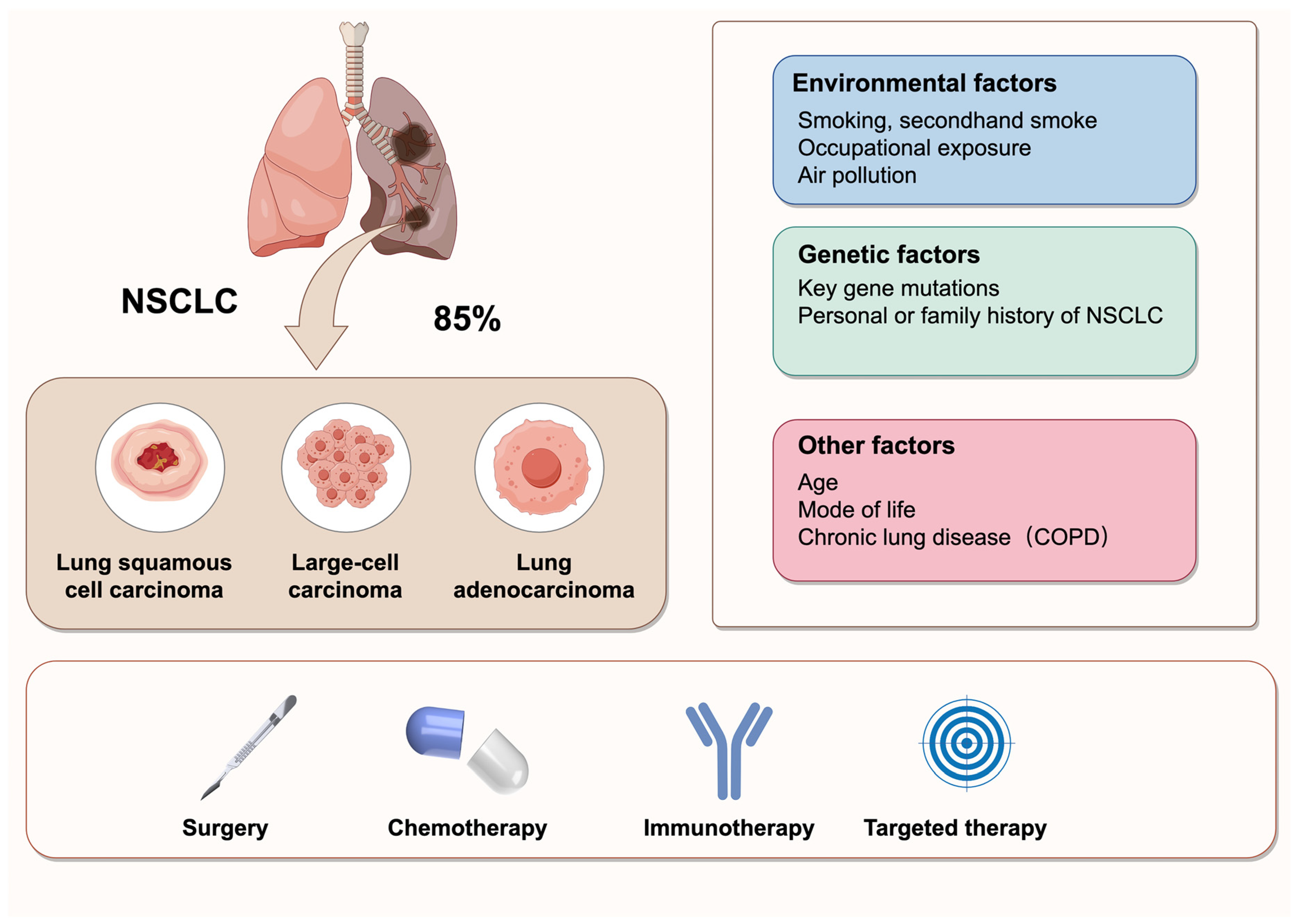 Biology 14 00545 g001