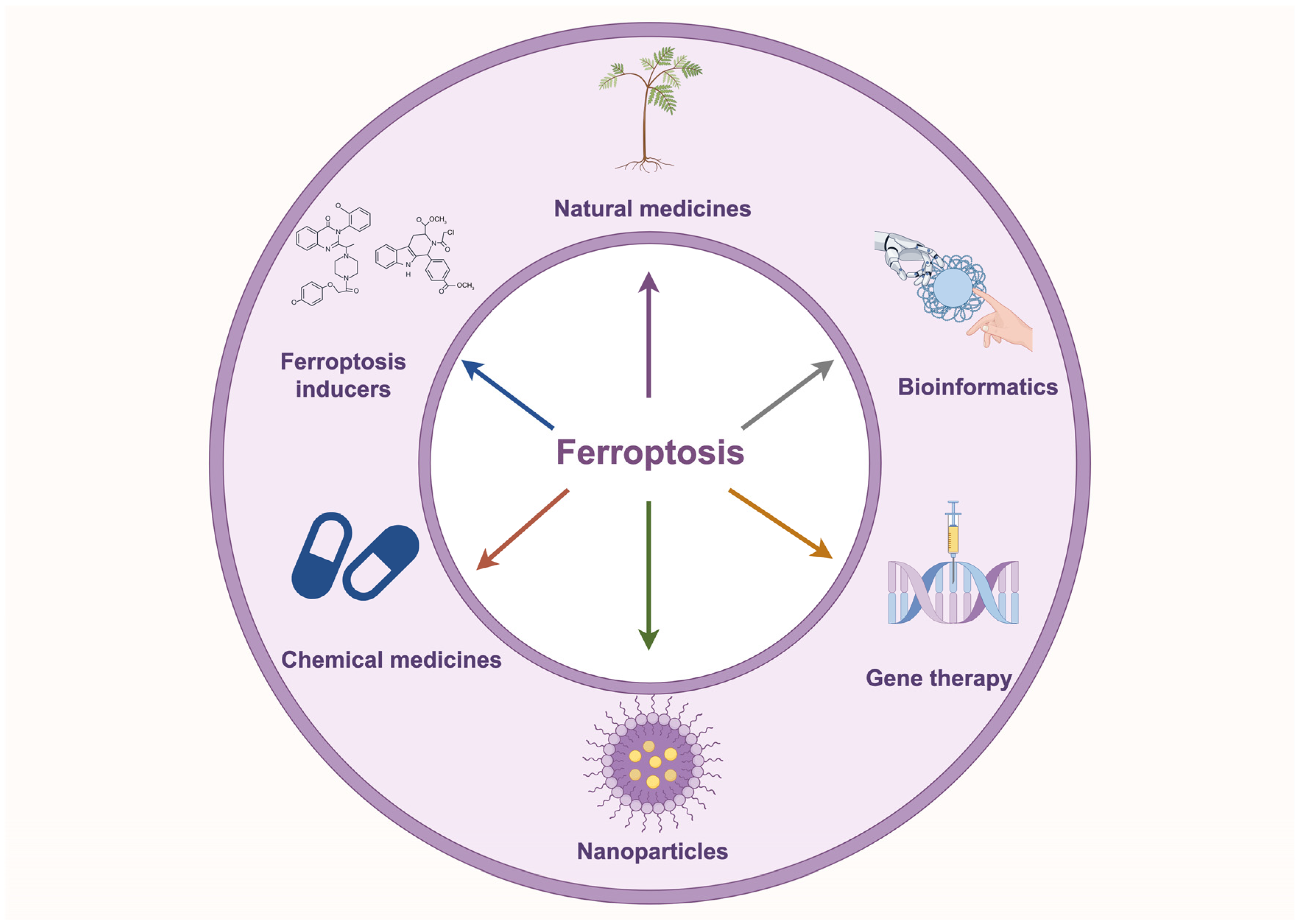 Biology 14 00545 g004