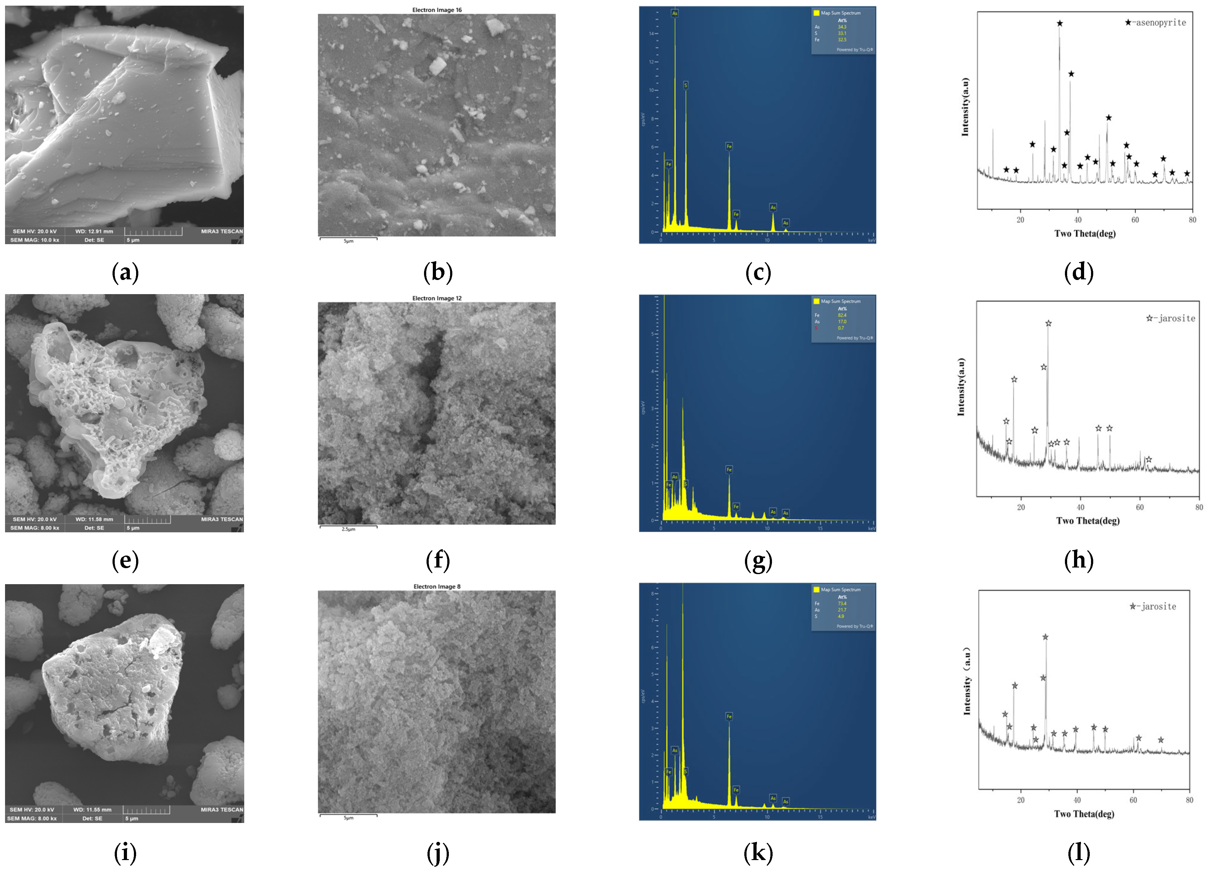 Biology 14 00550 g003