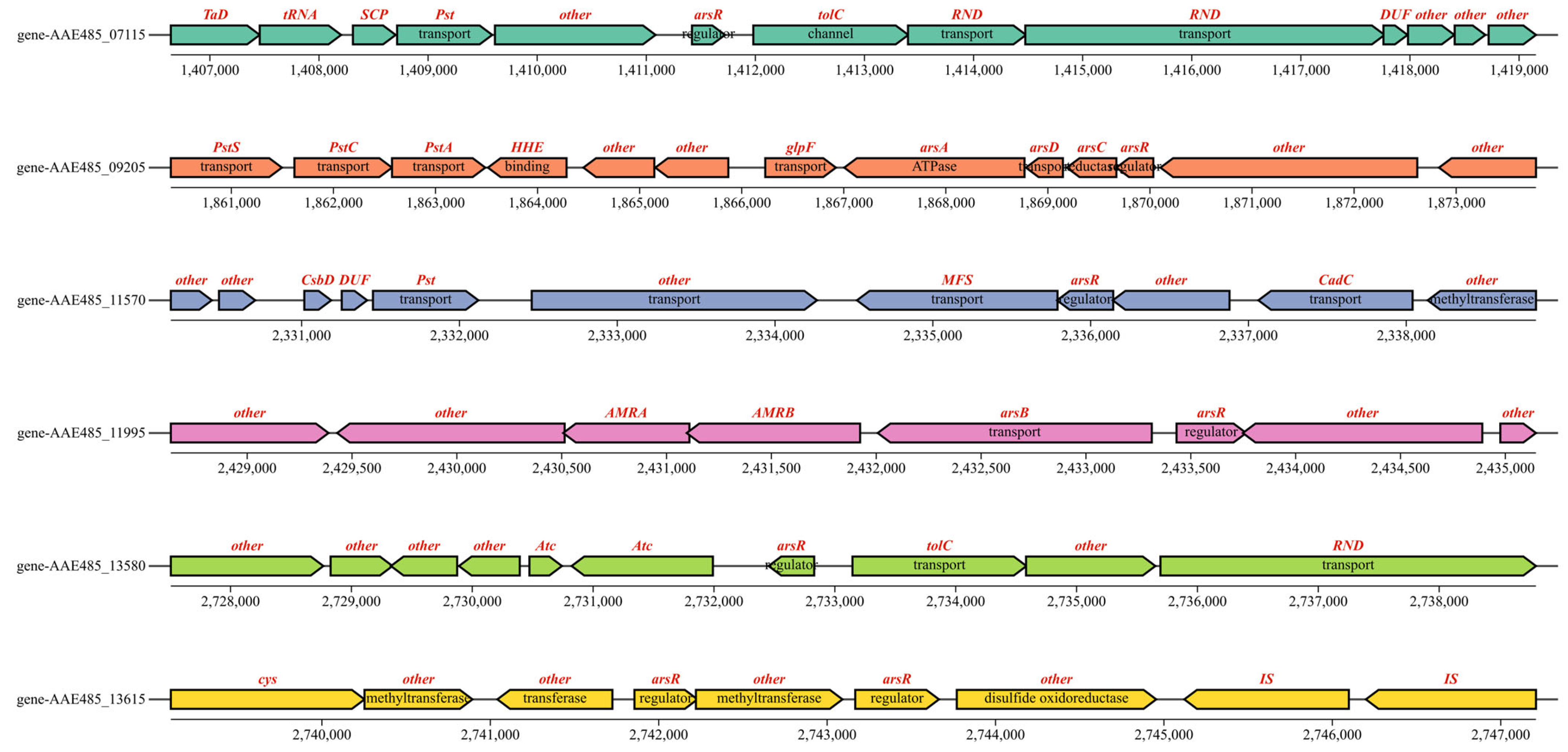 Biology 14 00550 g005