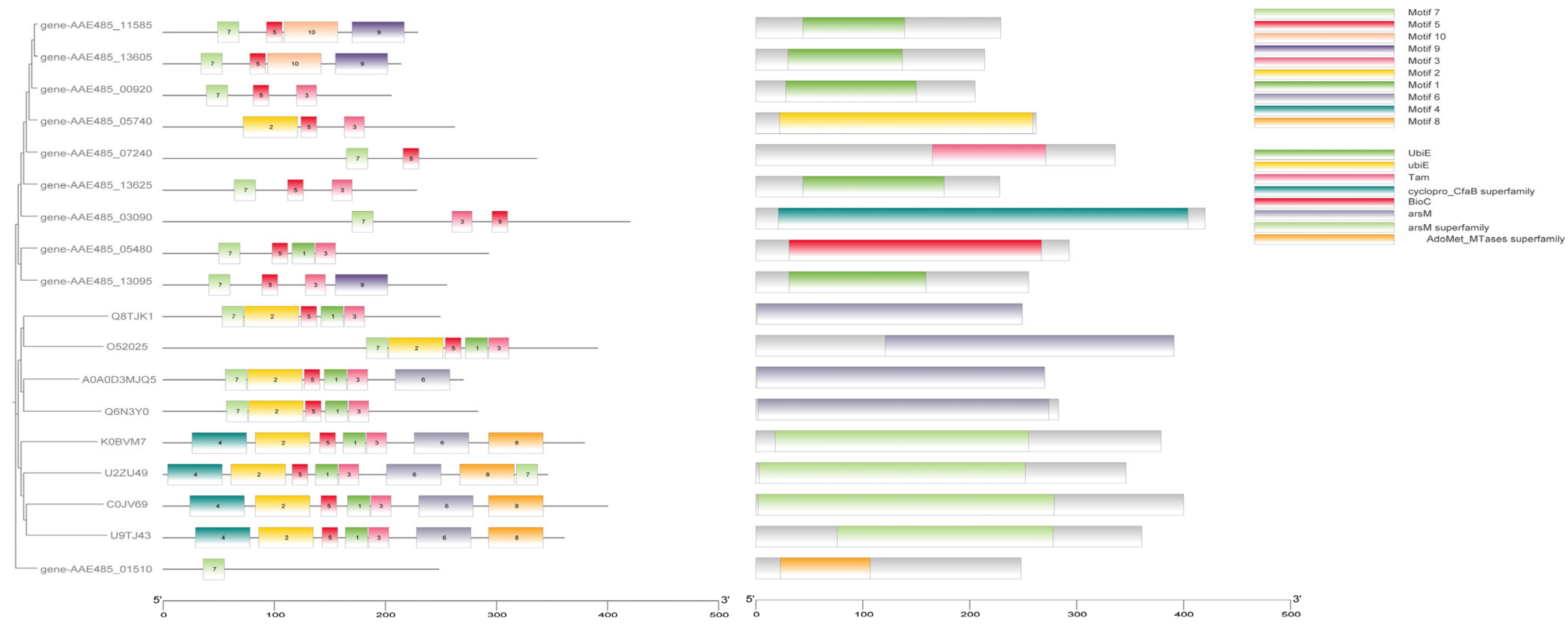 Biology 14 00550 g006