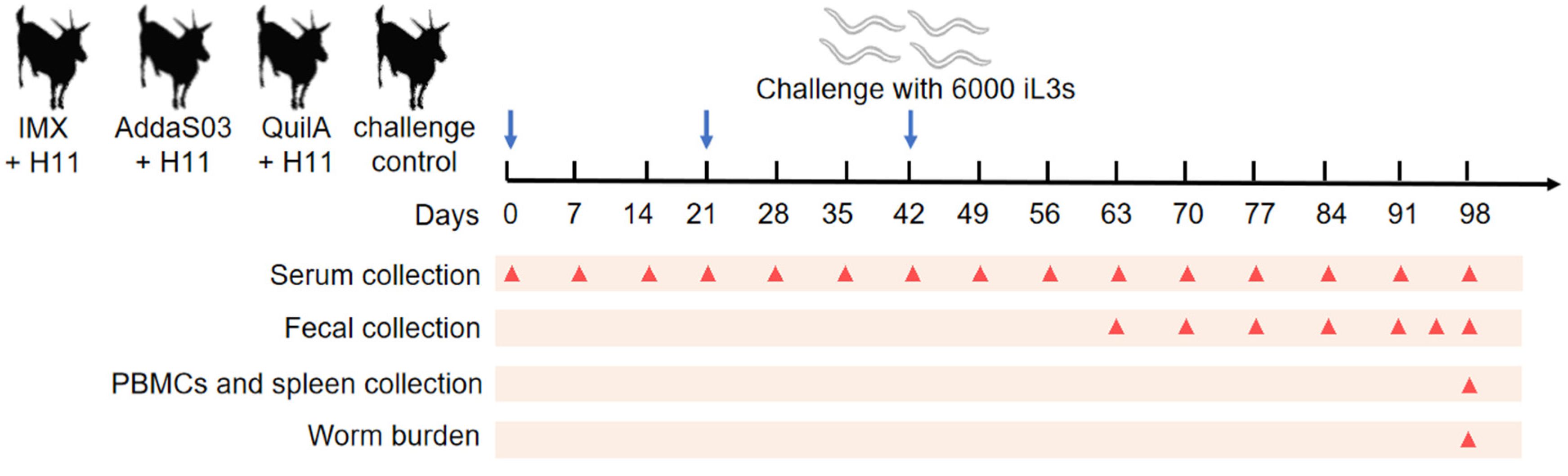 Biology 14 00563 g001