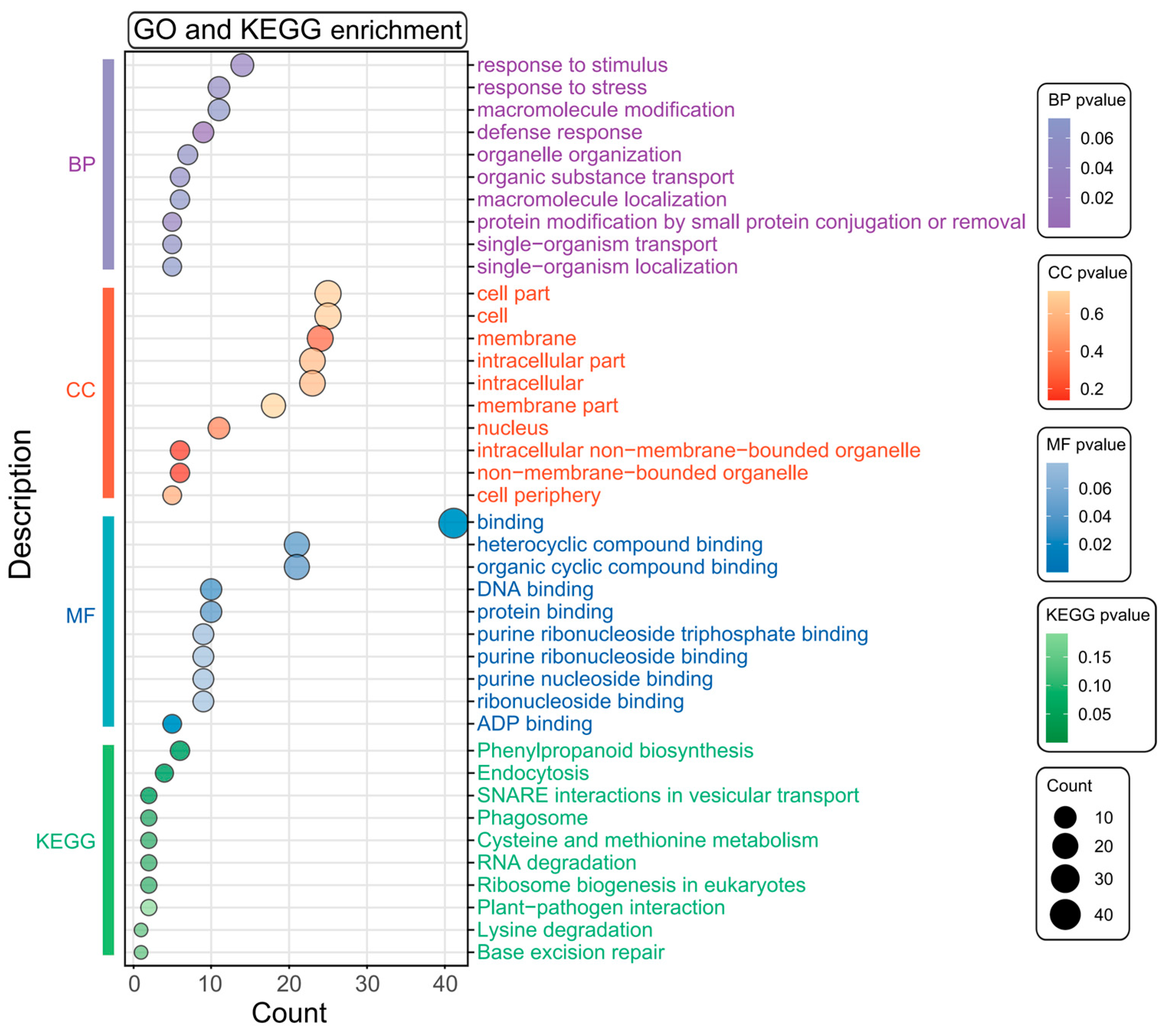 Biology 14 00580 g003
