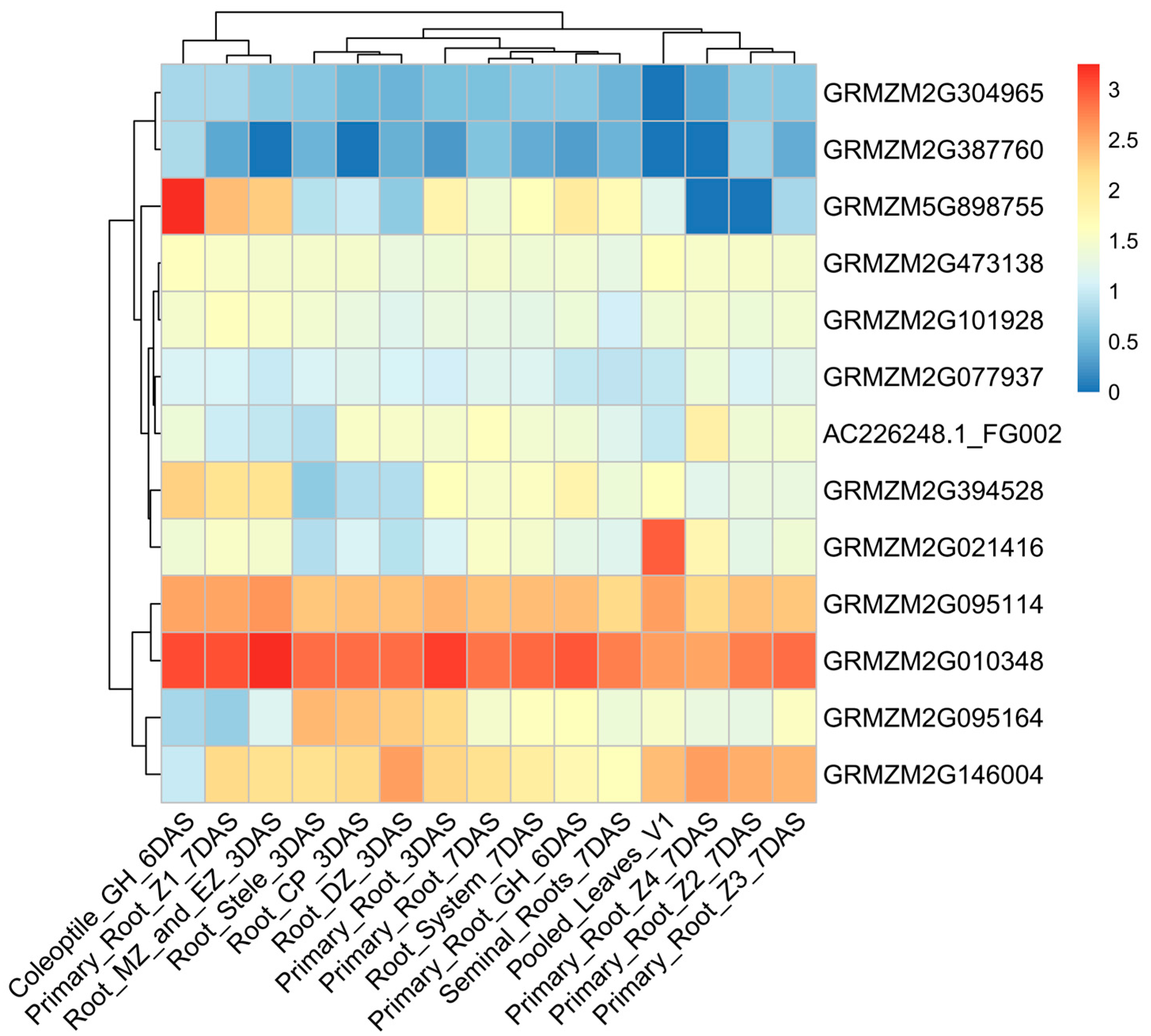 Biology 14 00580 g004