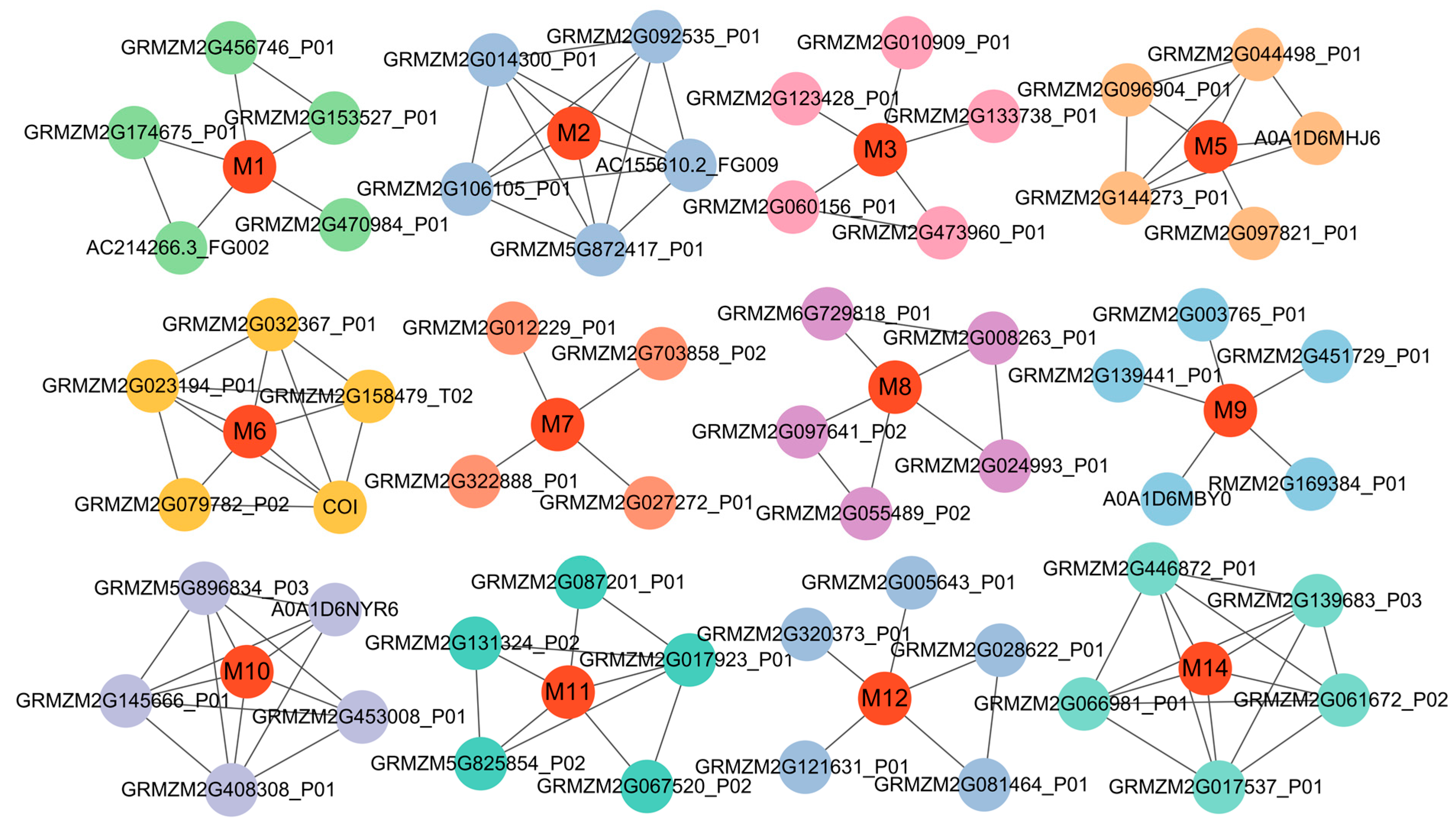 Biology 14 00580 g005