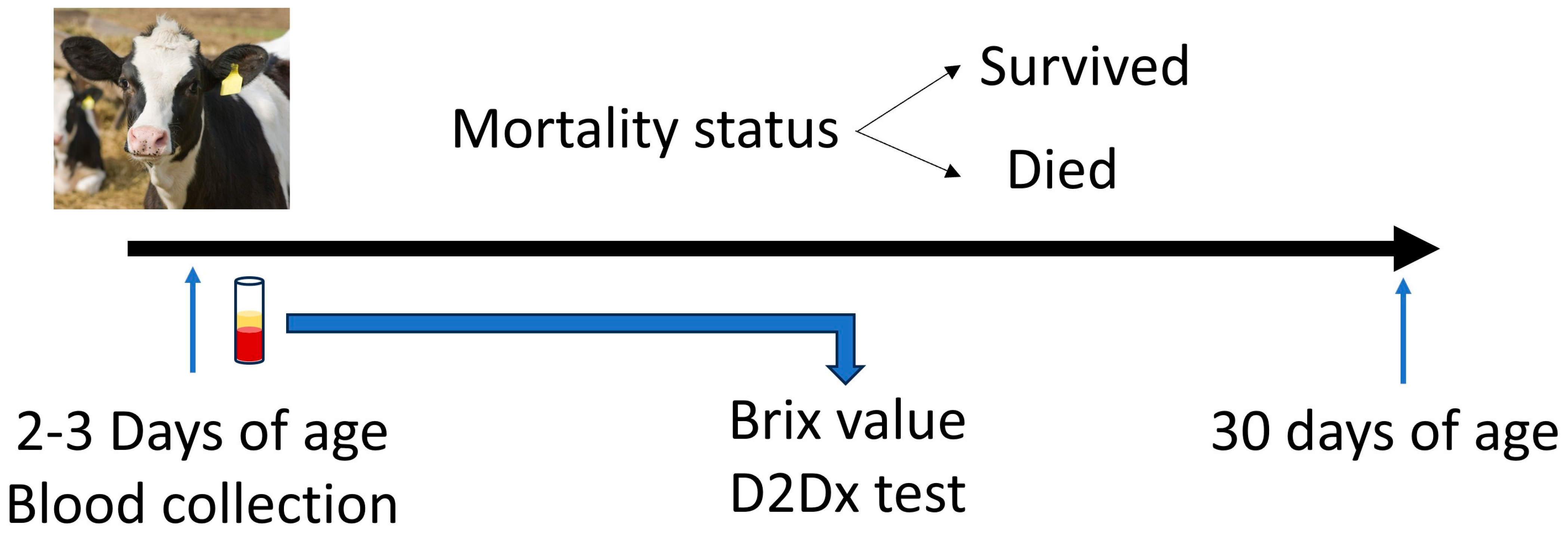 Biology 14 00584 g001