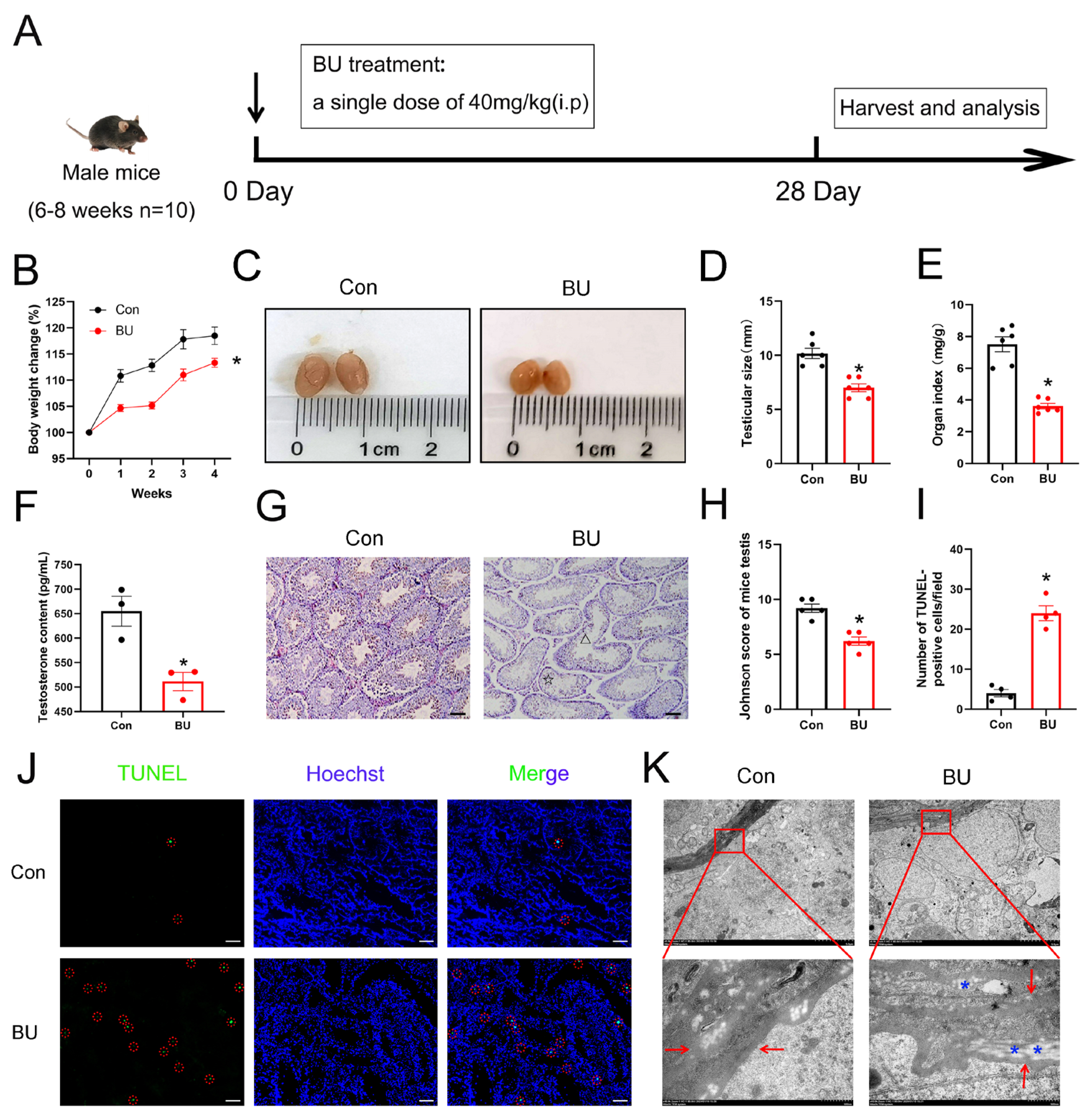 Biology 14 00594 g001