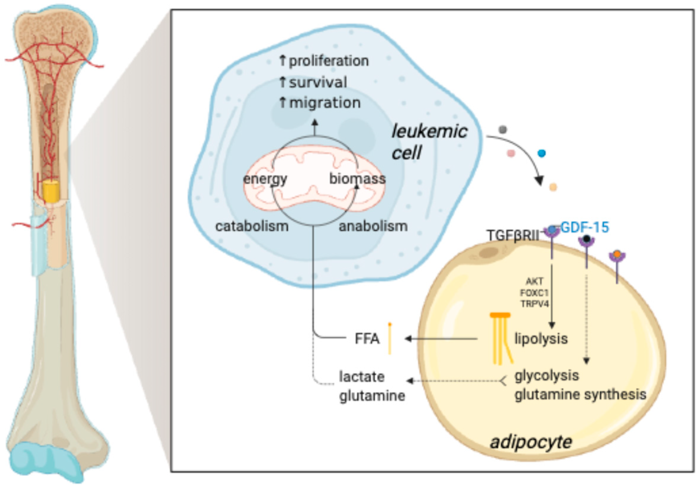 Biology 14 00624 g001