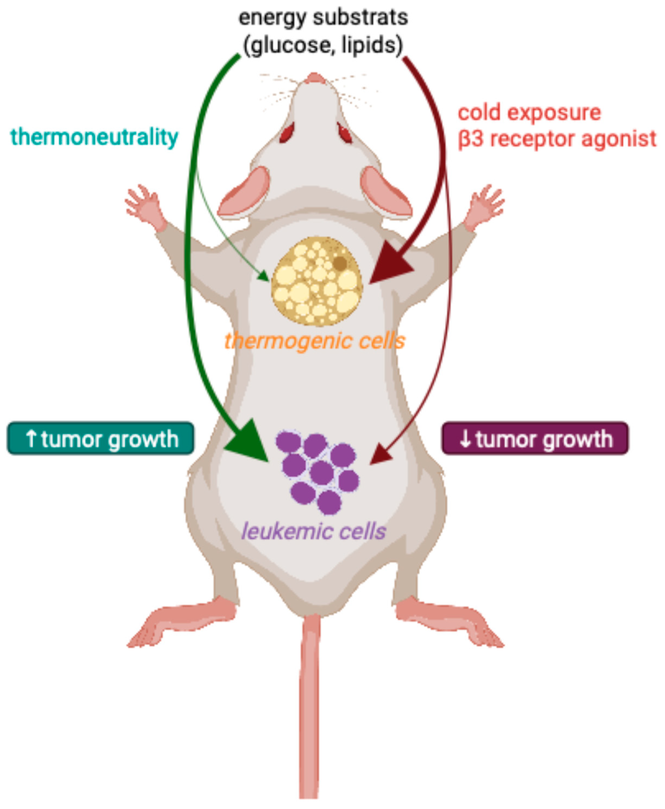 Biology 14 00624 g002