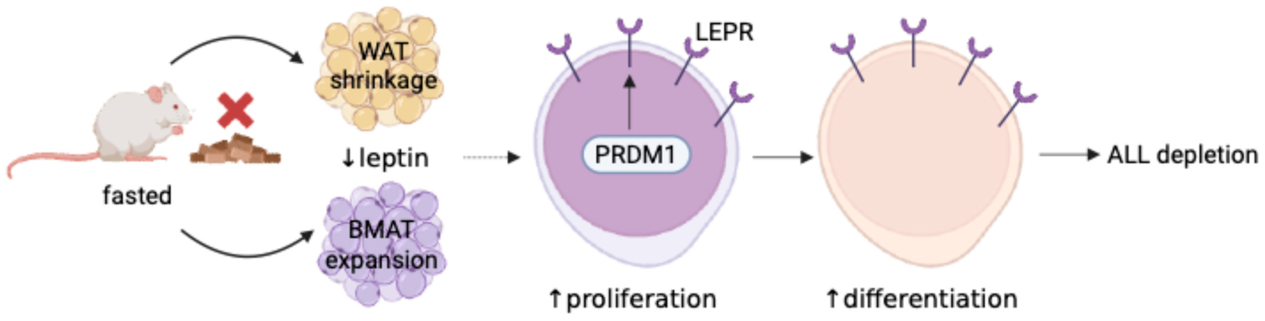 Biology 14 00624 g003