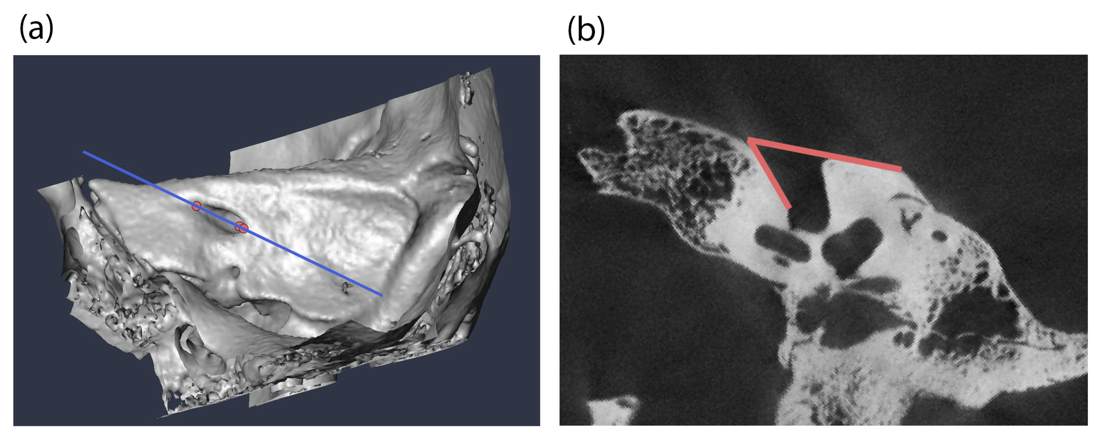 Biology 14 00628 g001