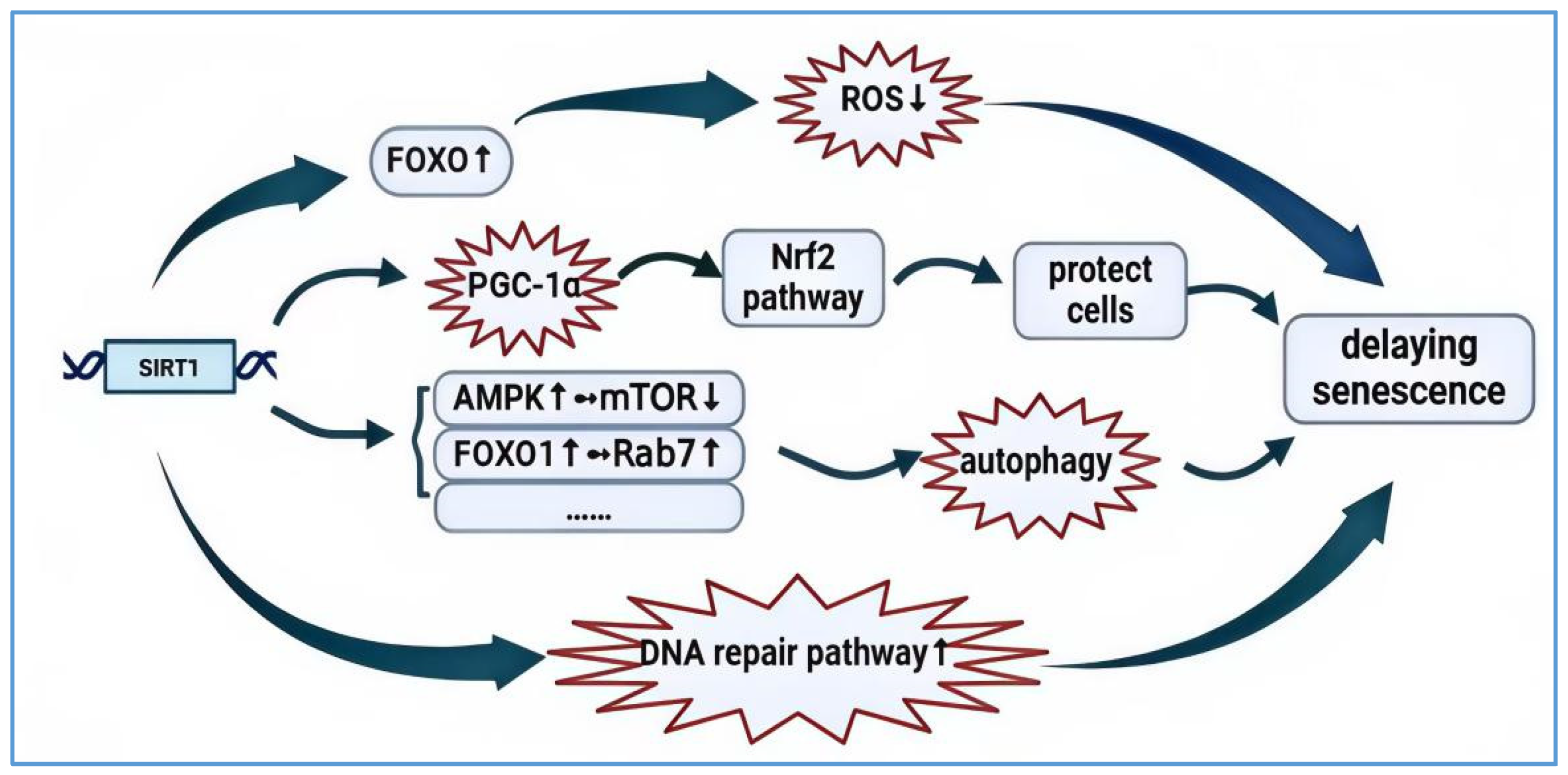 Biology 14 00643 g001