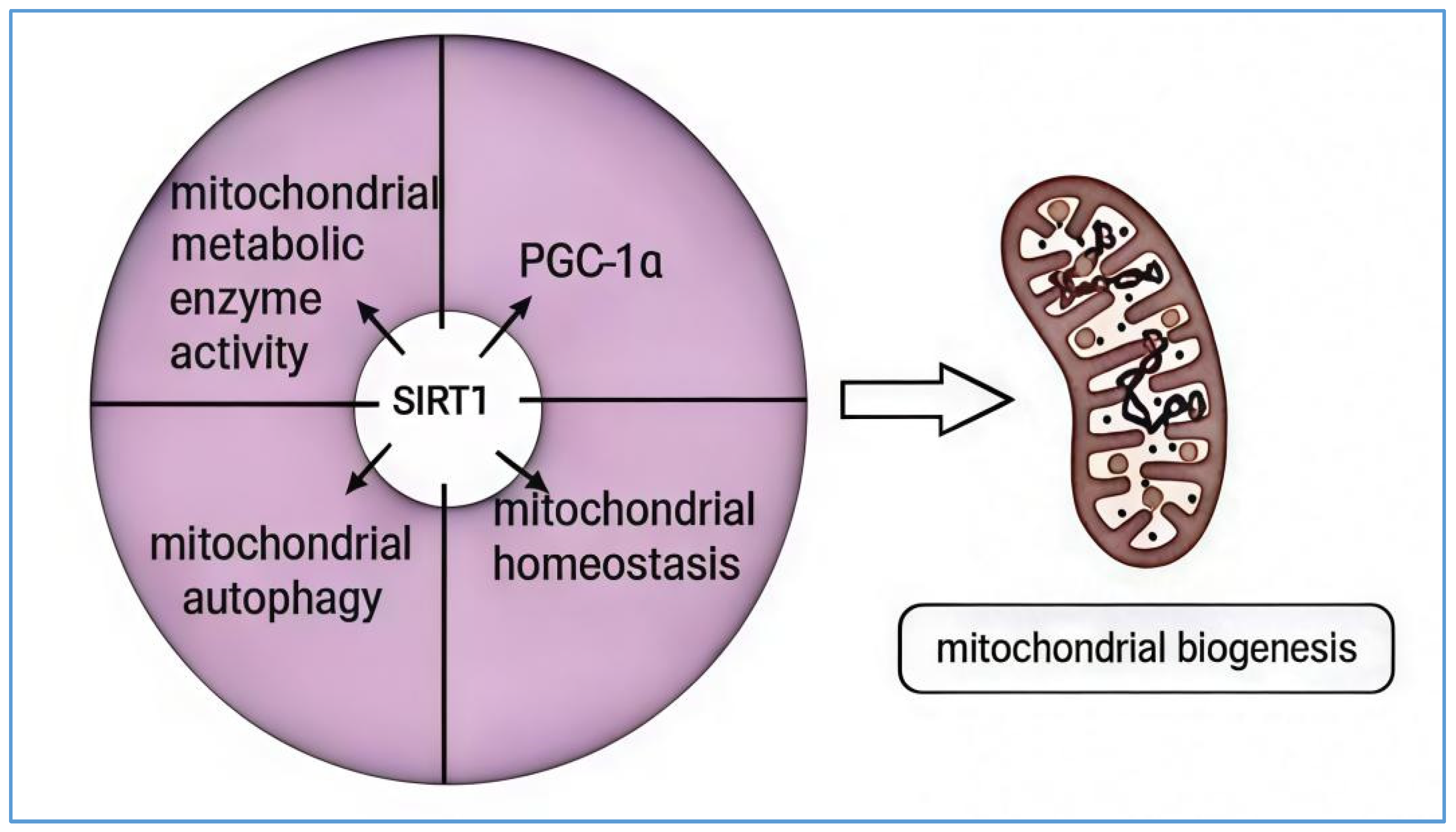 Biology 14 00643 g002