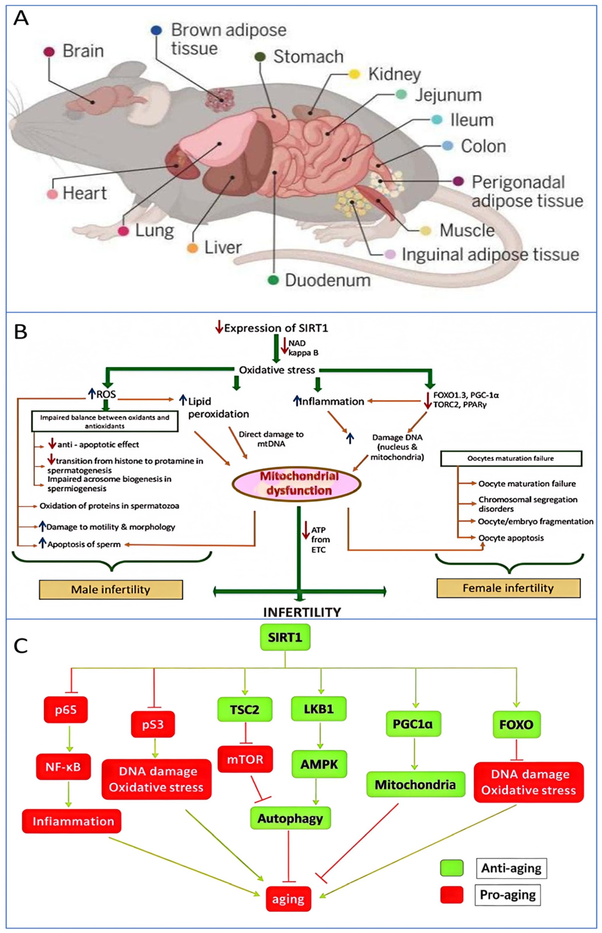 Biology 14 00643 g003