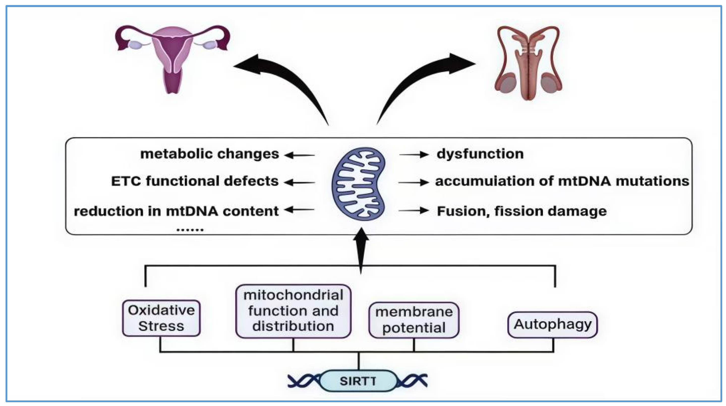 Biology 14 00643 g005