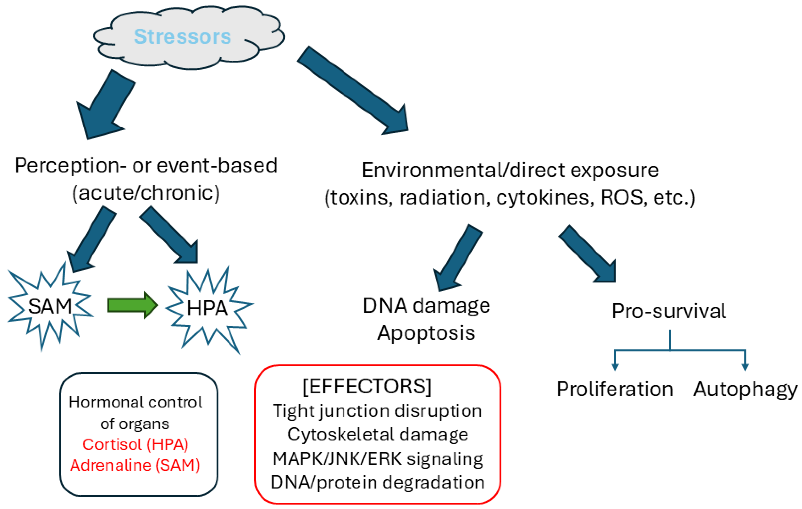 Biology 14 00649 g001